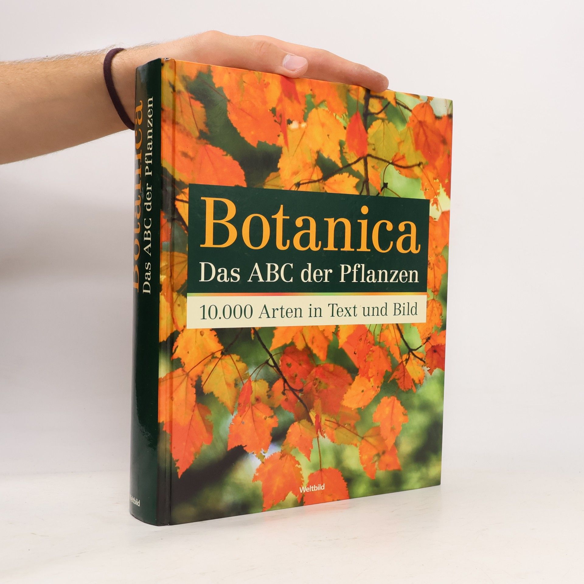 Geoff Burnie Botanica