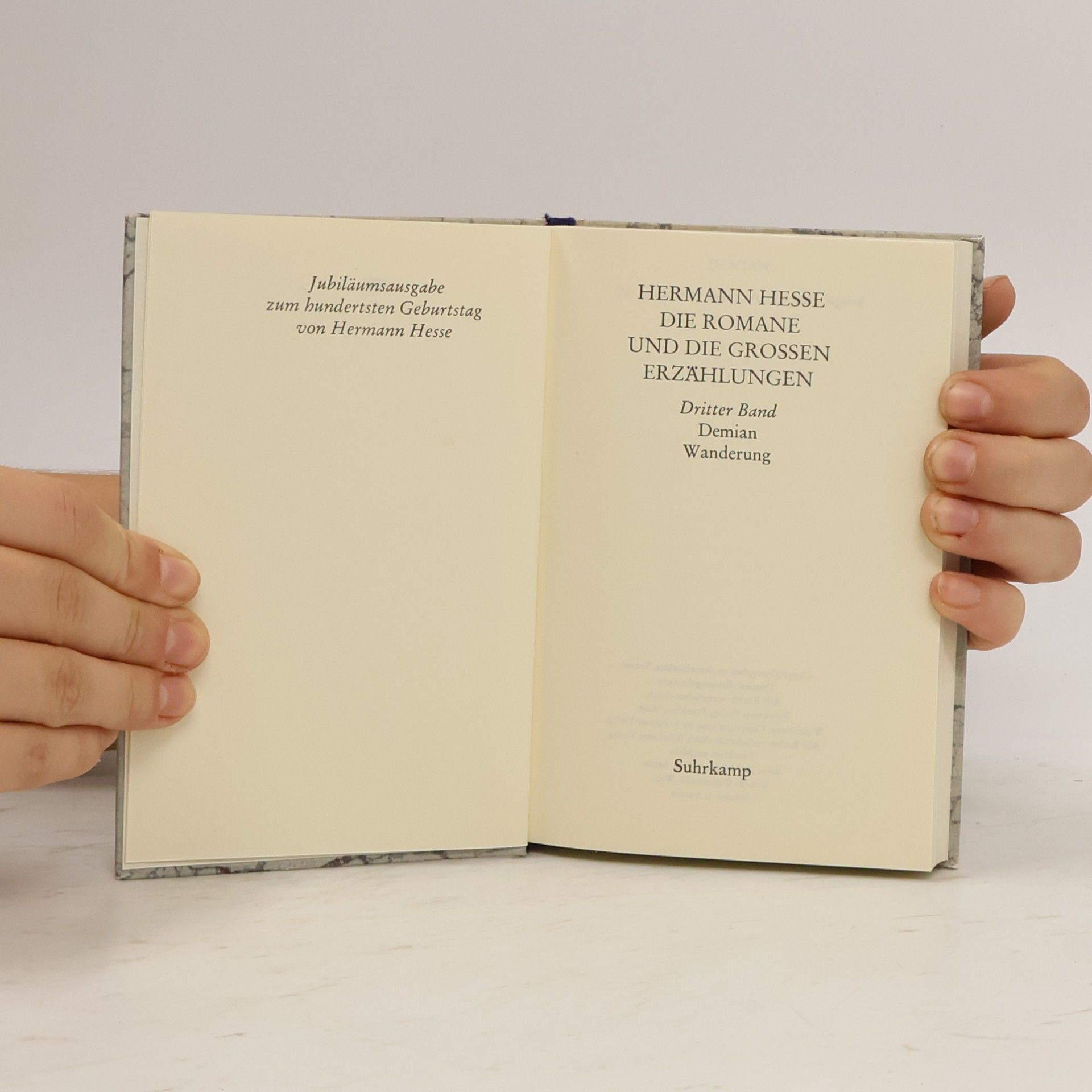 Hermann Hesse Die Romane und die grossen Erzählungen Band 3. Demian. Wanderung