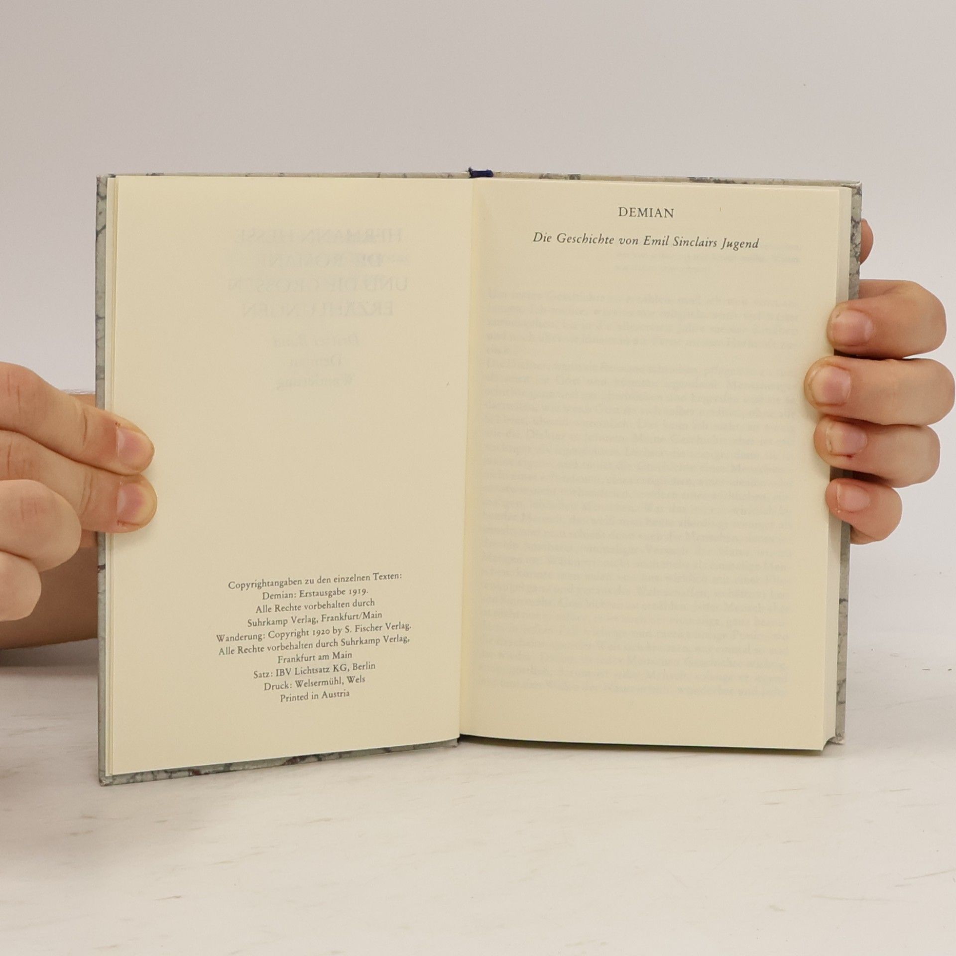 Hermann Hesse Die Romane und die grossen Erzählungen Band 3. Demian. Wanderung