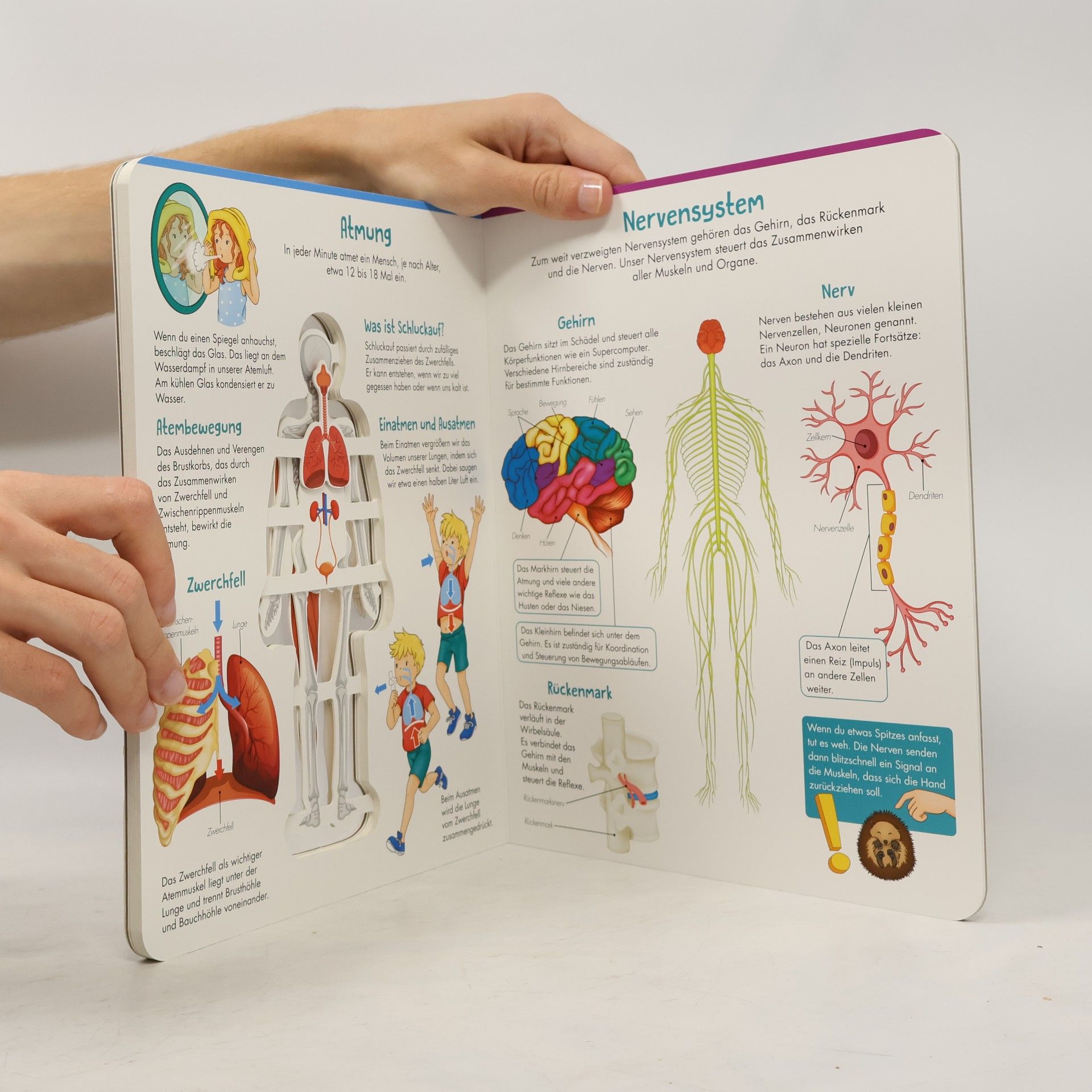 Trötsch Verlag Trötsch Kinderbuch Unser Körper