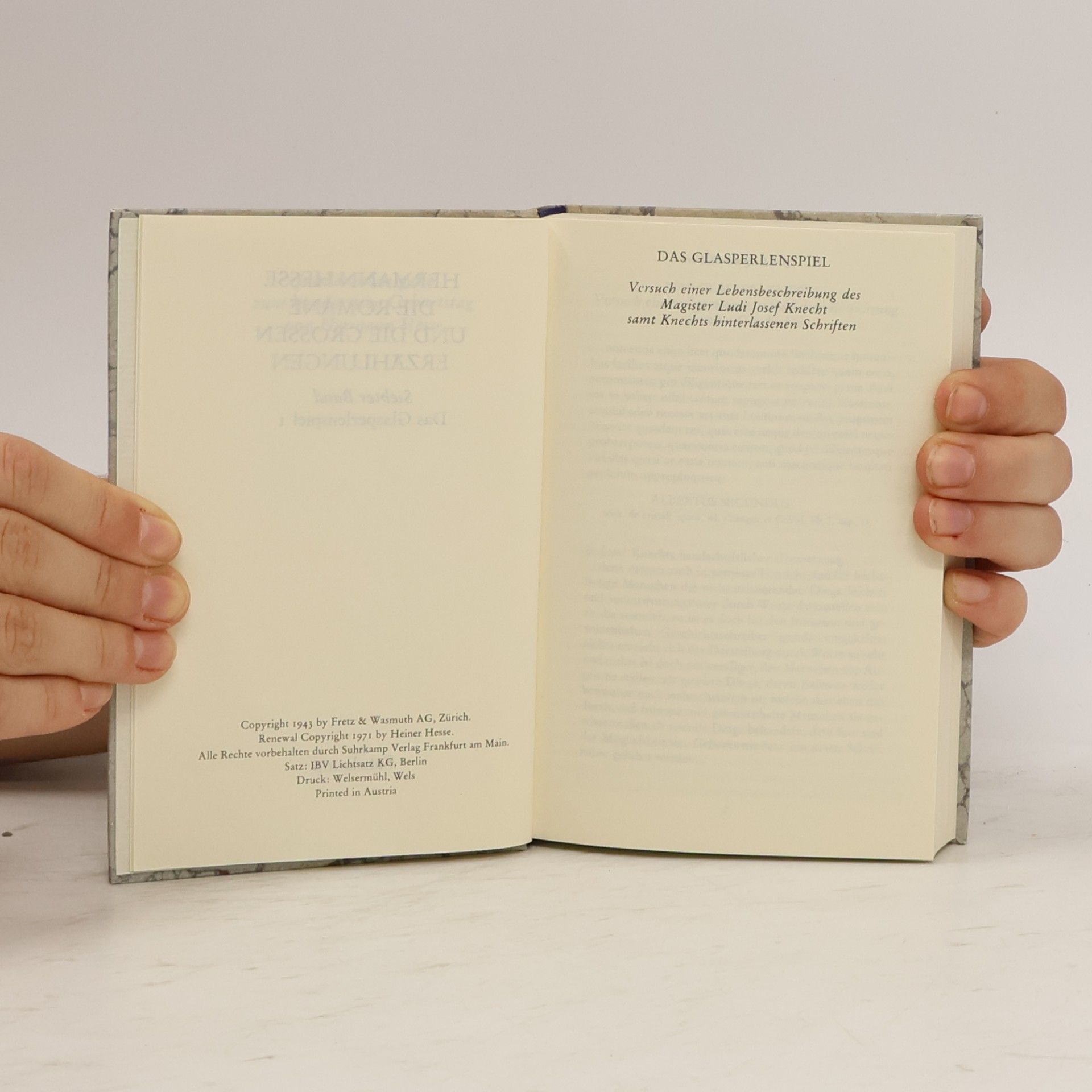 Hermann Hesse Die Romane und die grossen Erzählungen 7