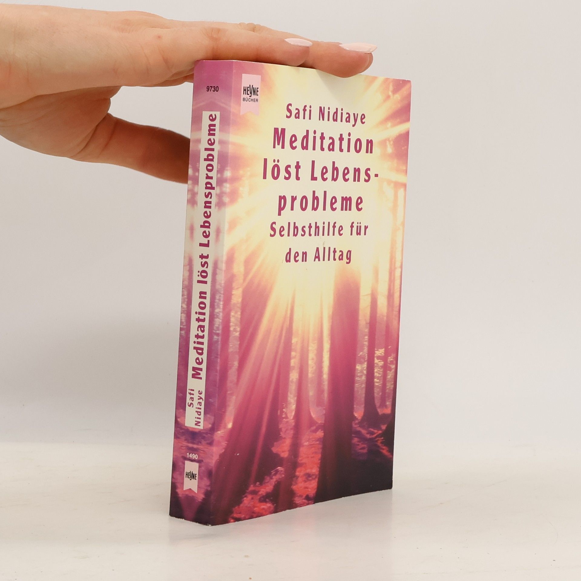 Safi Nidiaye Meditation löst Lebensprobleme