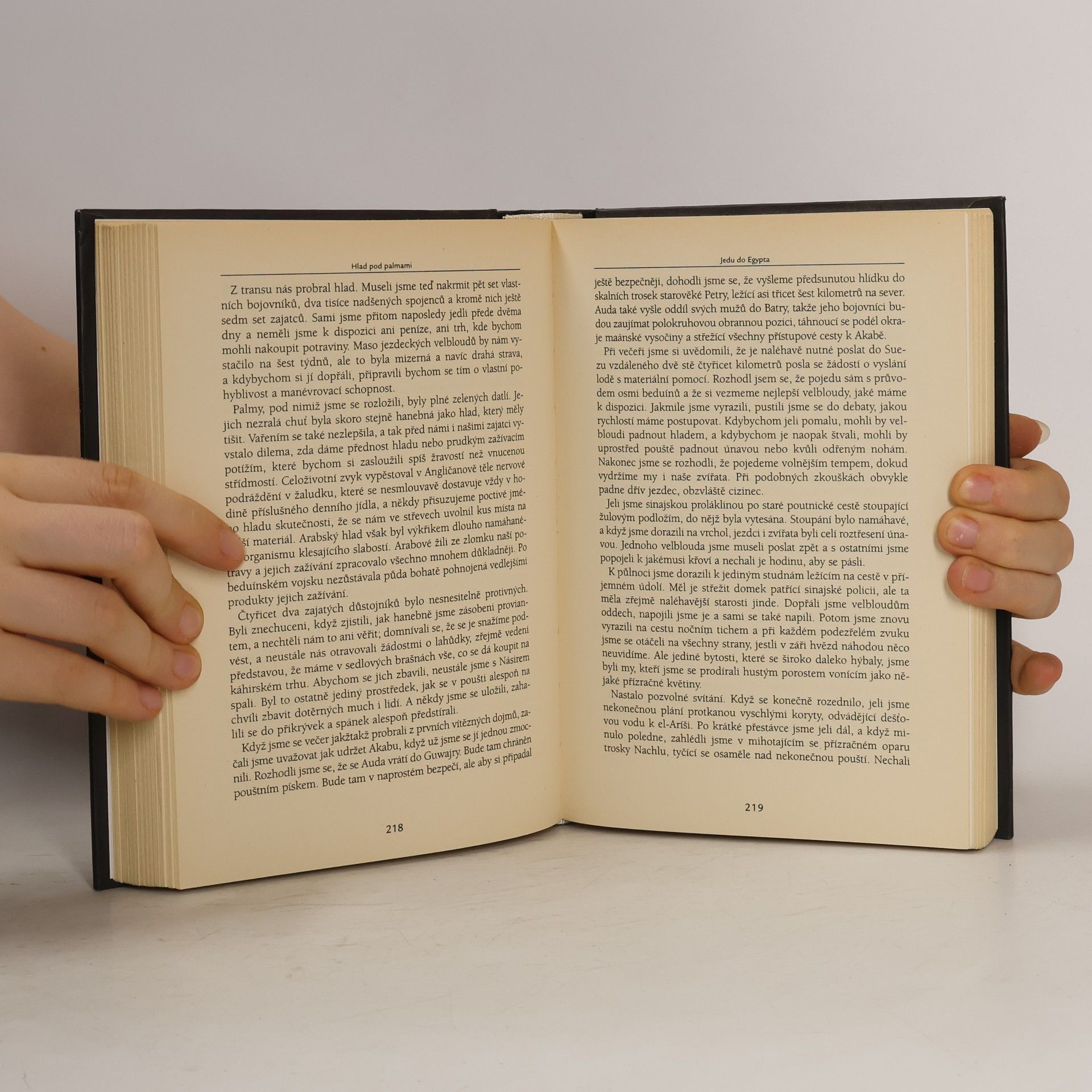 T. E. Lawrence Sedm sloupů moudrosti : historie jednoho triumfu