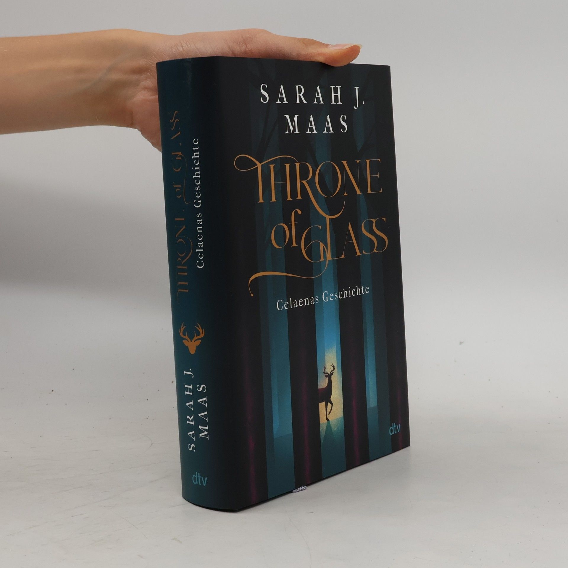 Throne of Glass – Celaenas Geschichte