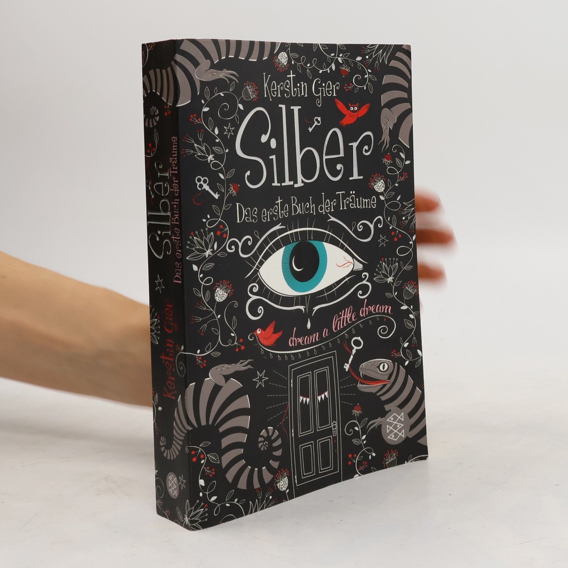Kerstin Gier Silber. Das erste Buch der Träume