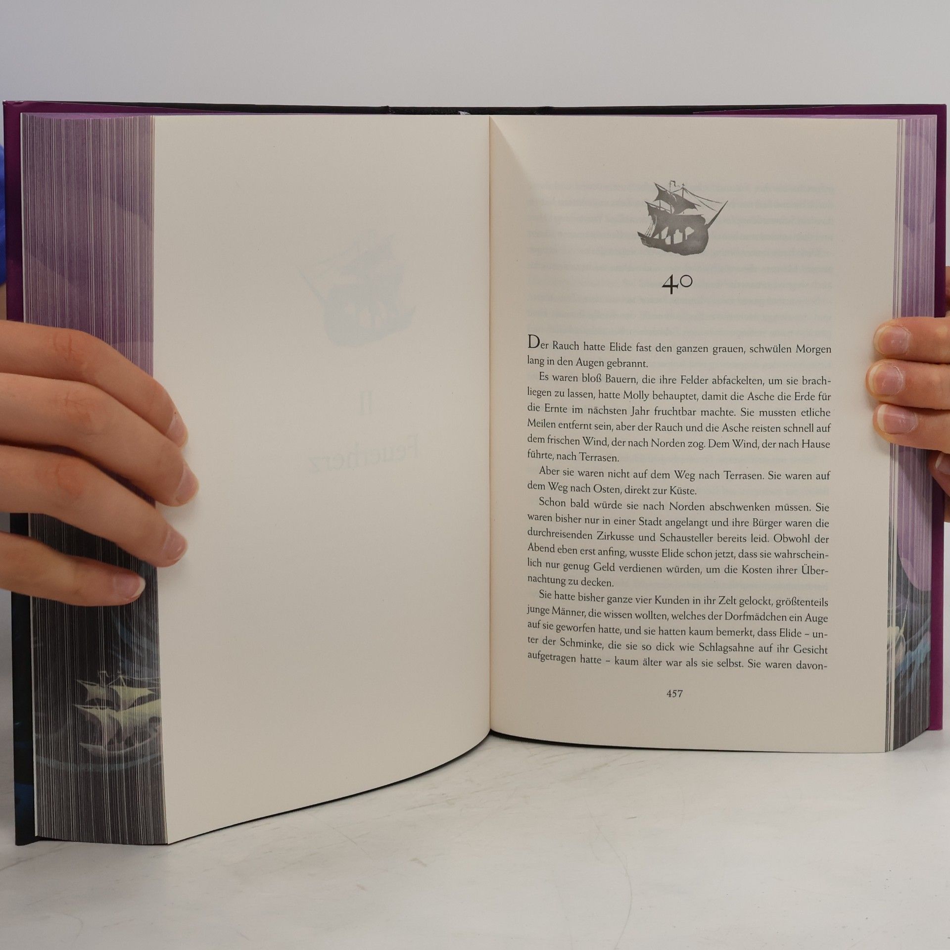 Sarah J. Maas Throne of Glass. Die Sturmbezwingerin