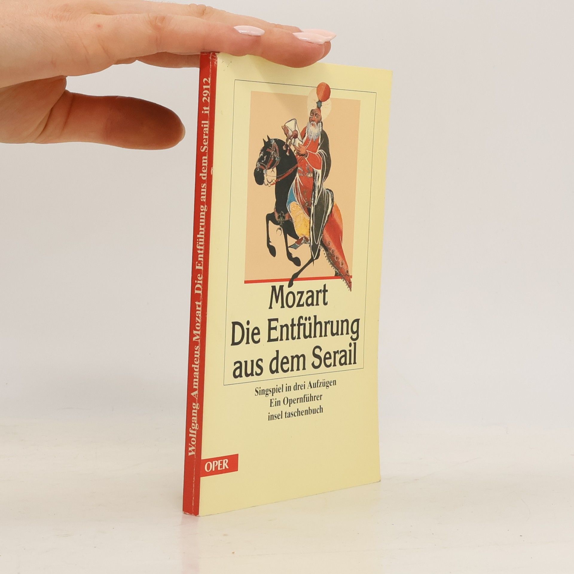 Regula Rapp Die Entführung aus dem Serail