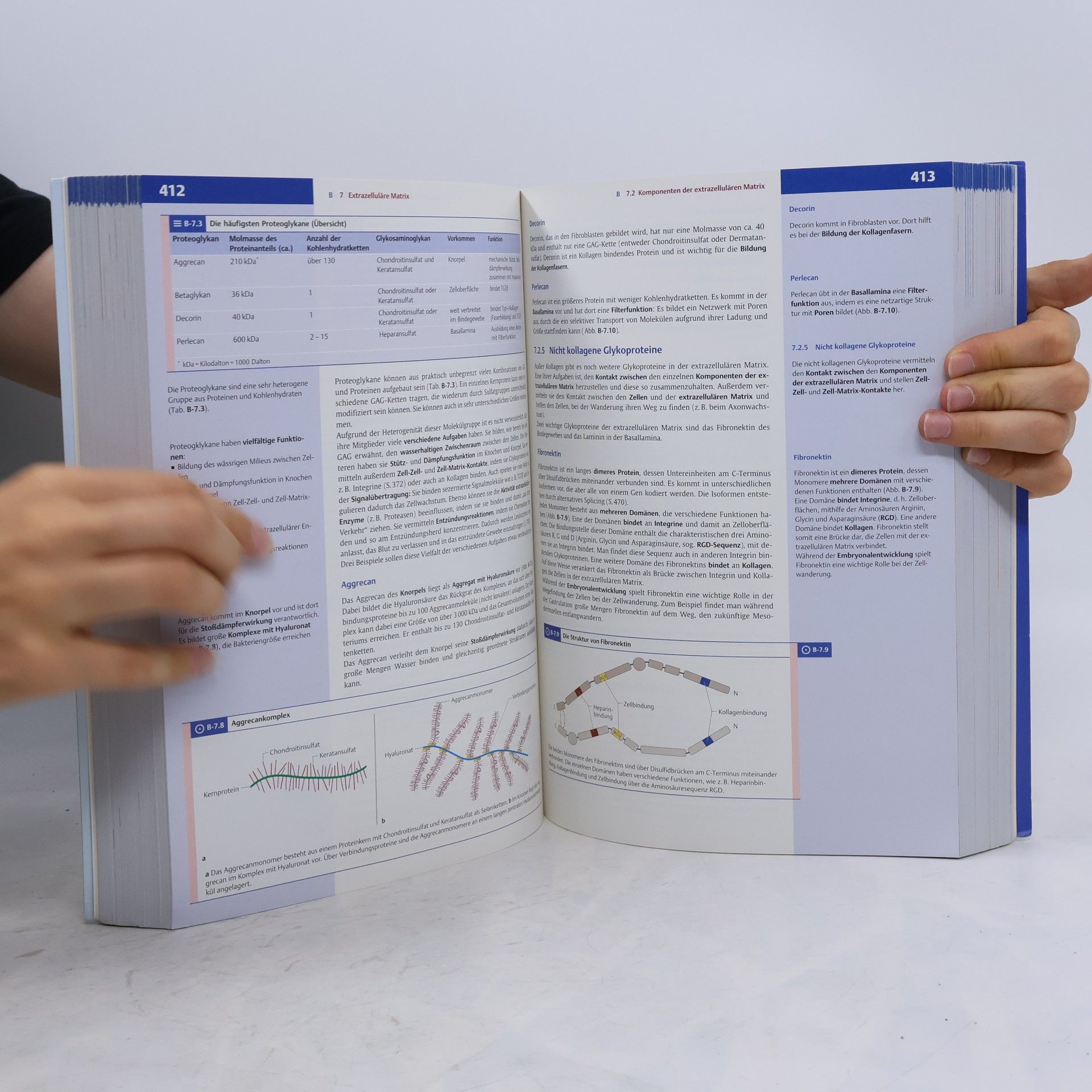 Joachim Rassow Biochemie