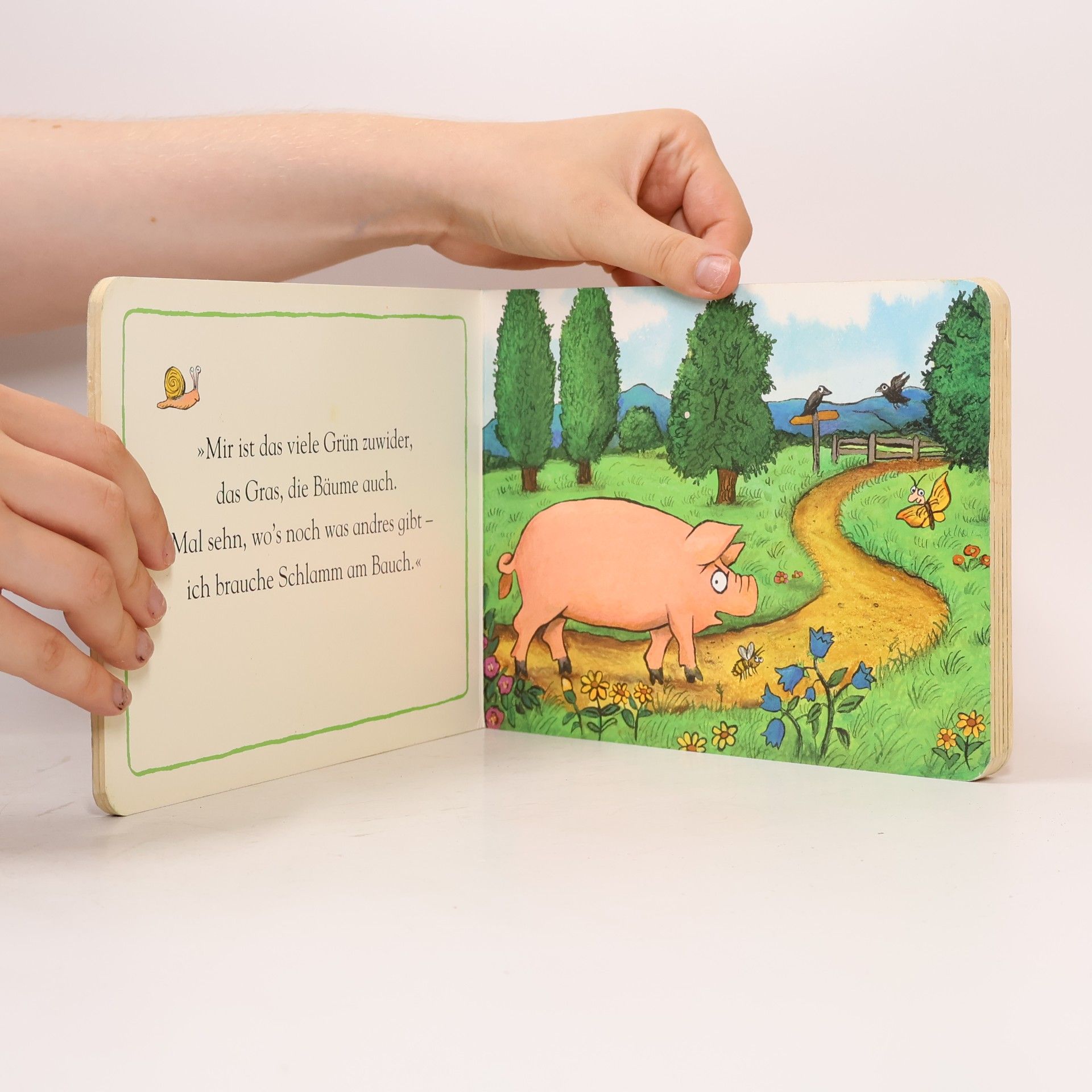 Axel Scheffler Grunz das Schwein