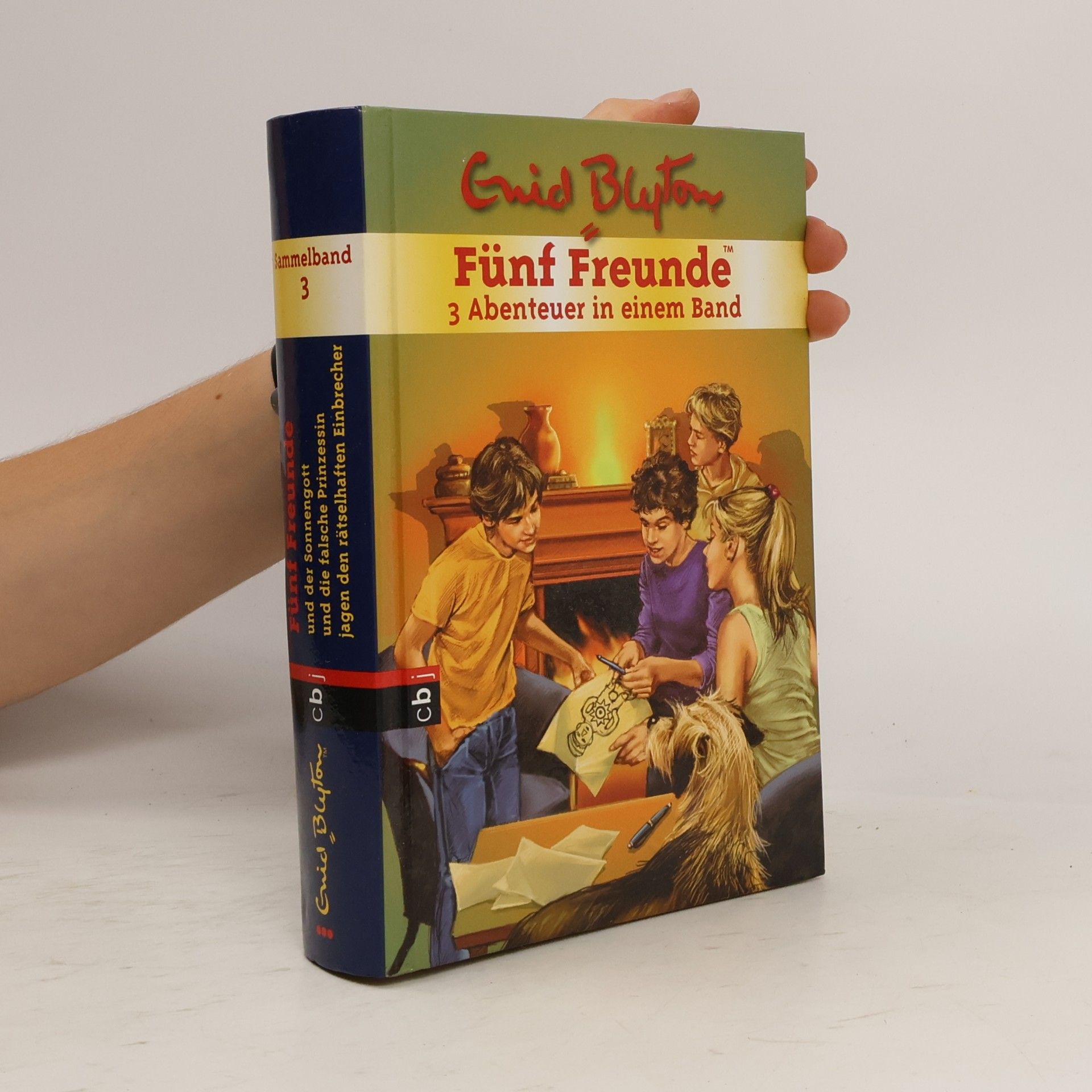 Enid Blyton Fünf Freunde Sammelband 3