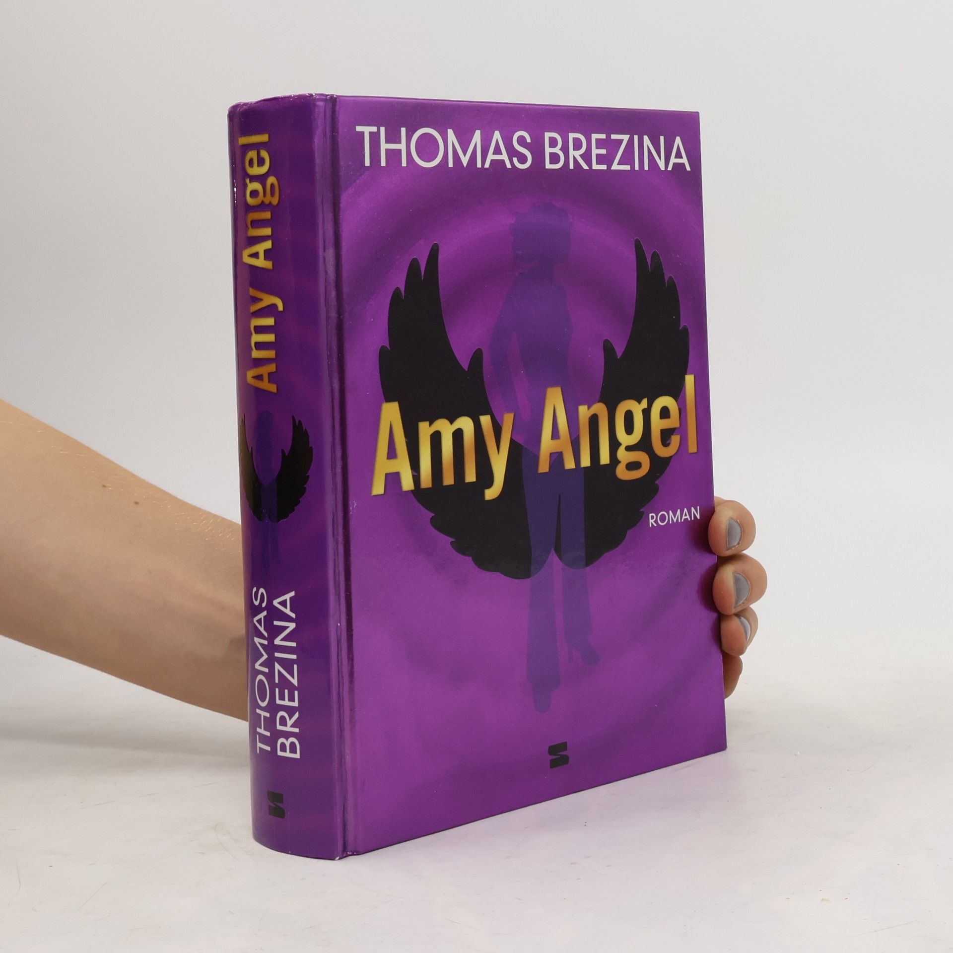 Thomas Brezina Amy Angel