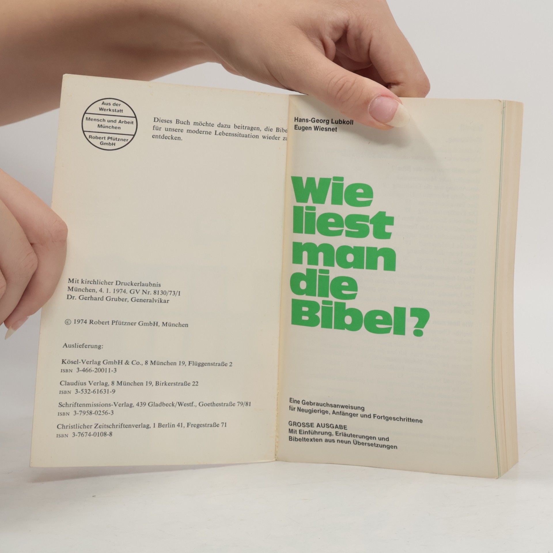 Hans-Georg Lubkoll Wie liest man die Bibel?