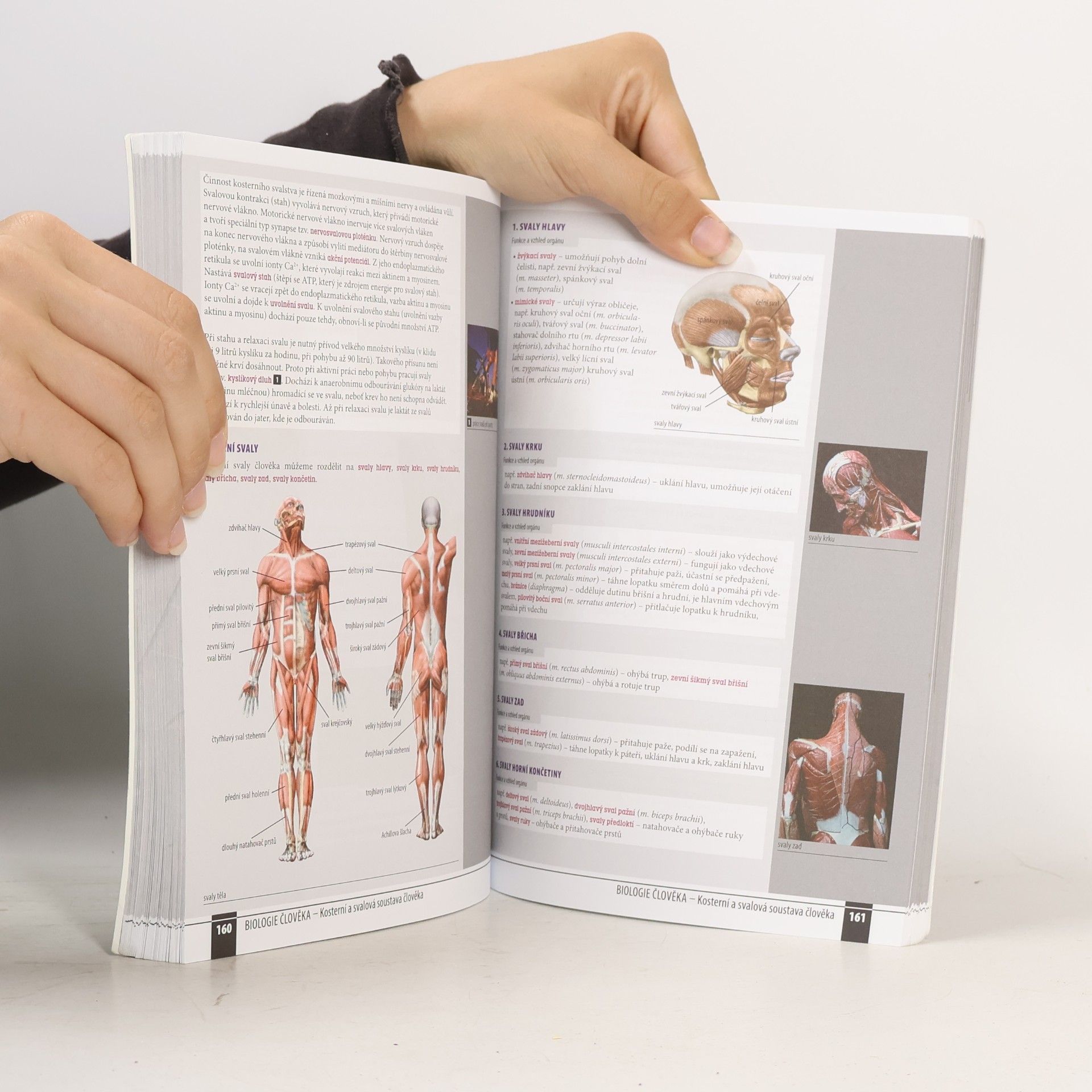 Autorenkollektiv Odmaturuj! z biologie