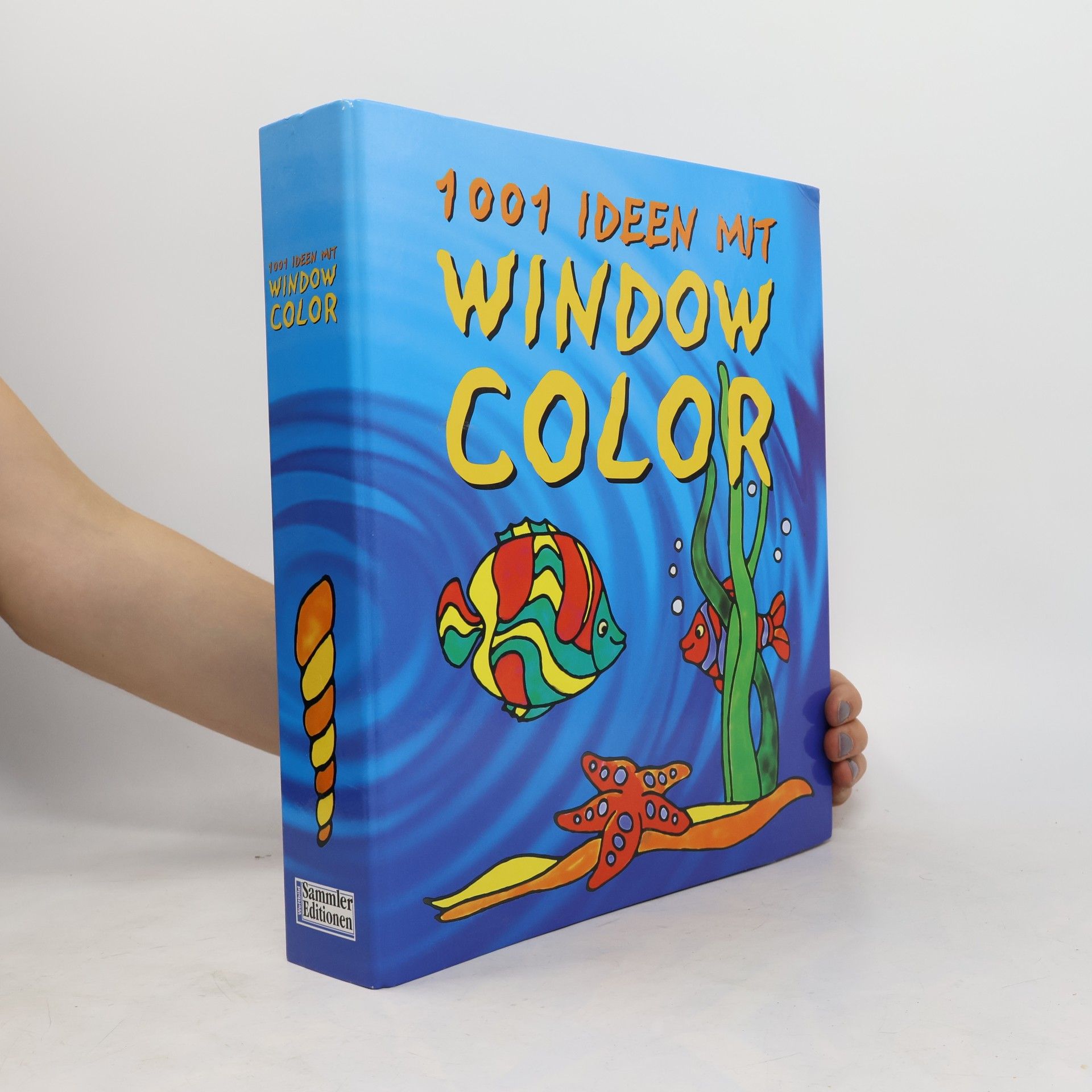 Various authors 1001 ideen mit window color