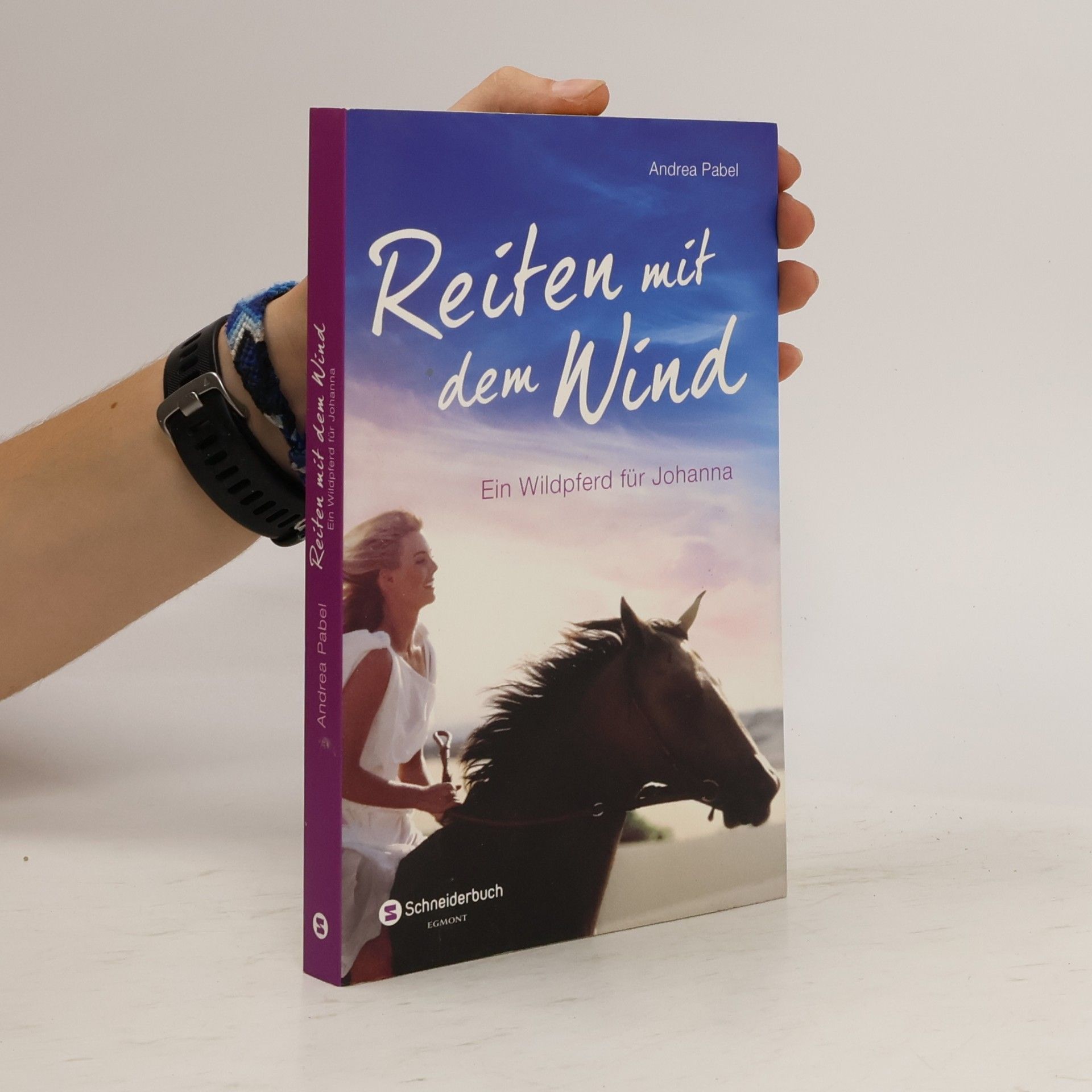 Andrea Pabel Reiten mit dem Wind