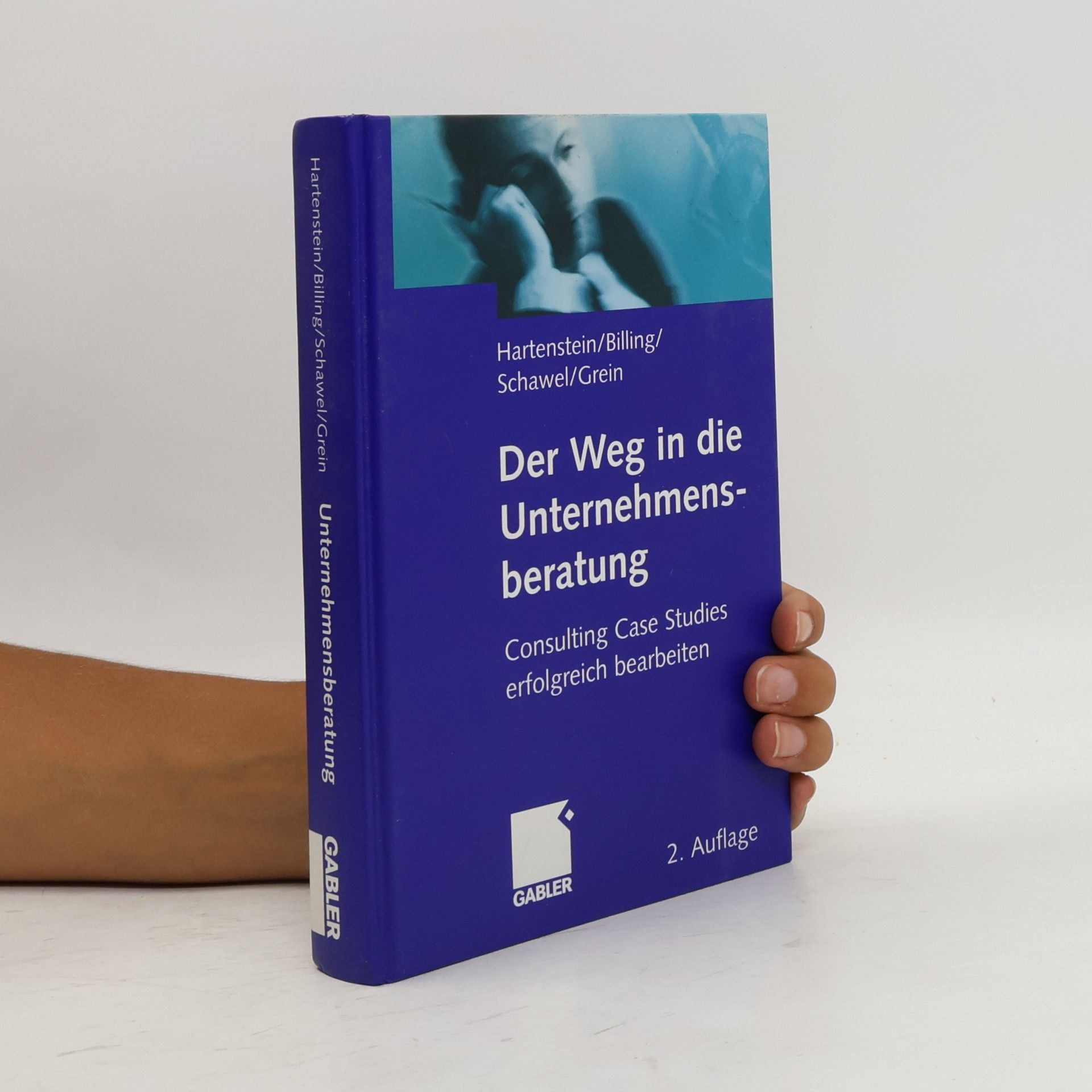 Michael Grein Der Weg in die Unternehmensberatung