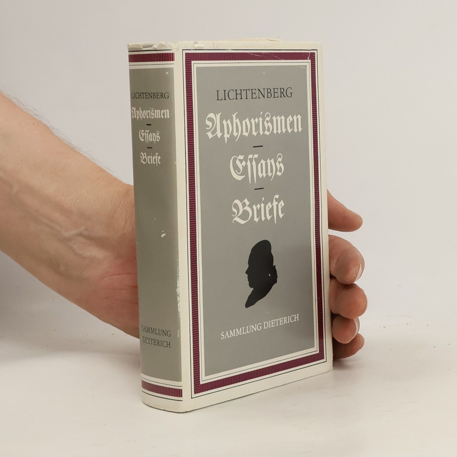 Lichtenberg. Aphorismen. Essays Briefe