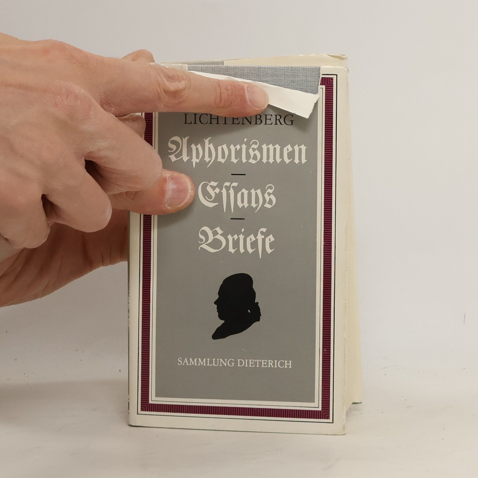 Kurt Batt Lichtenberg. Aphorismen. Essays Briefe