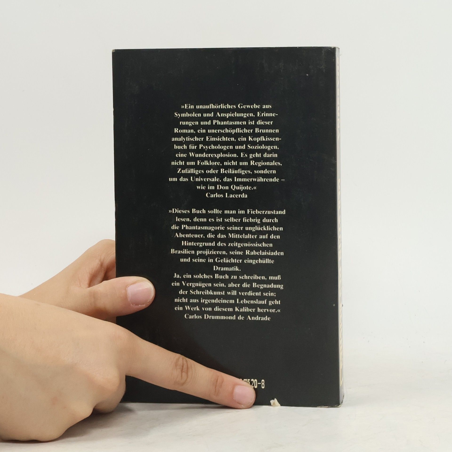 Ariano Suassuna Der Stein des Reiches (5518 989)