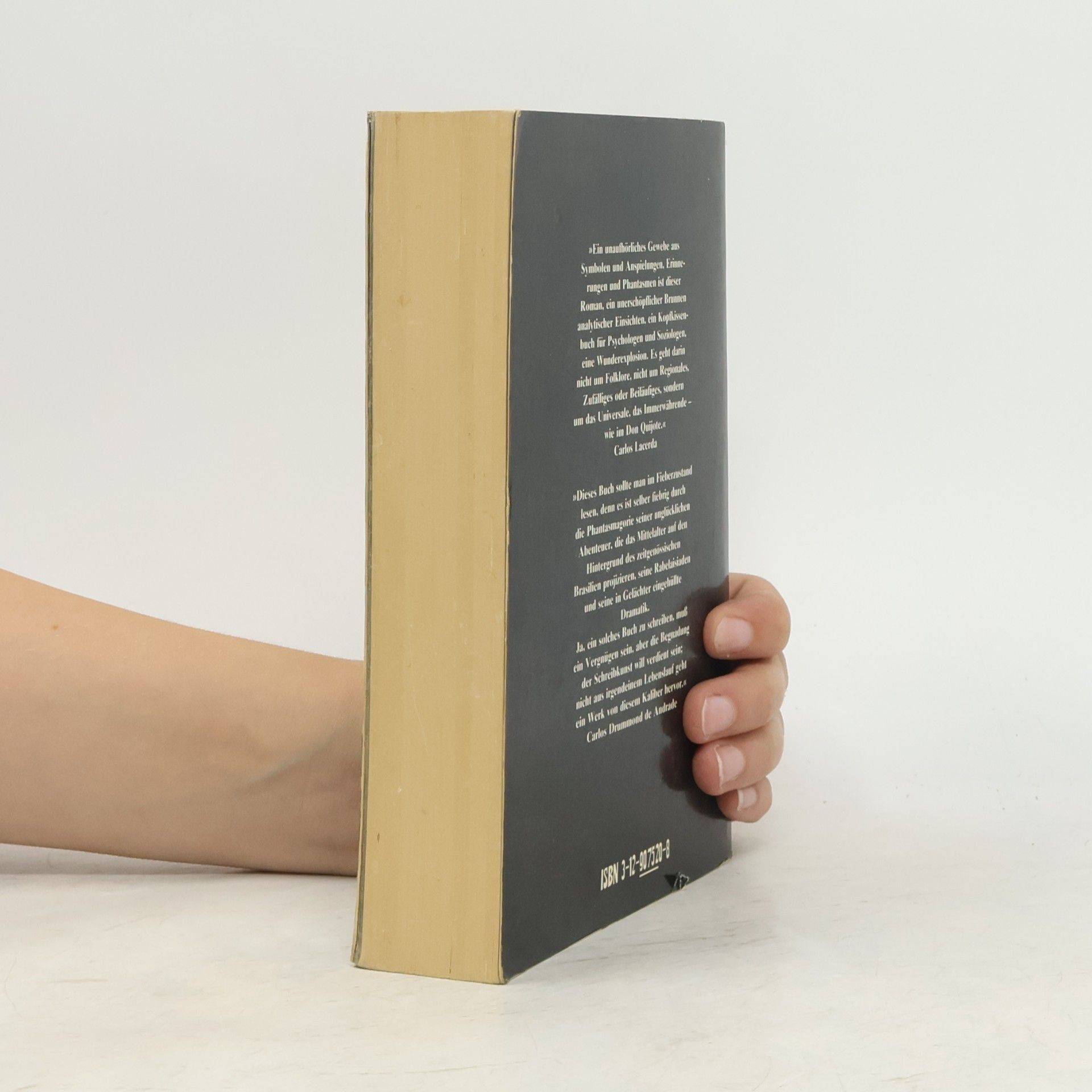 Ariano Suassuna Der Stein des Reiches (5518 989)