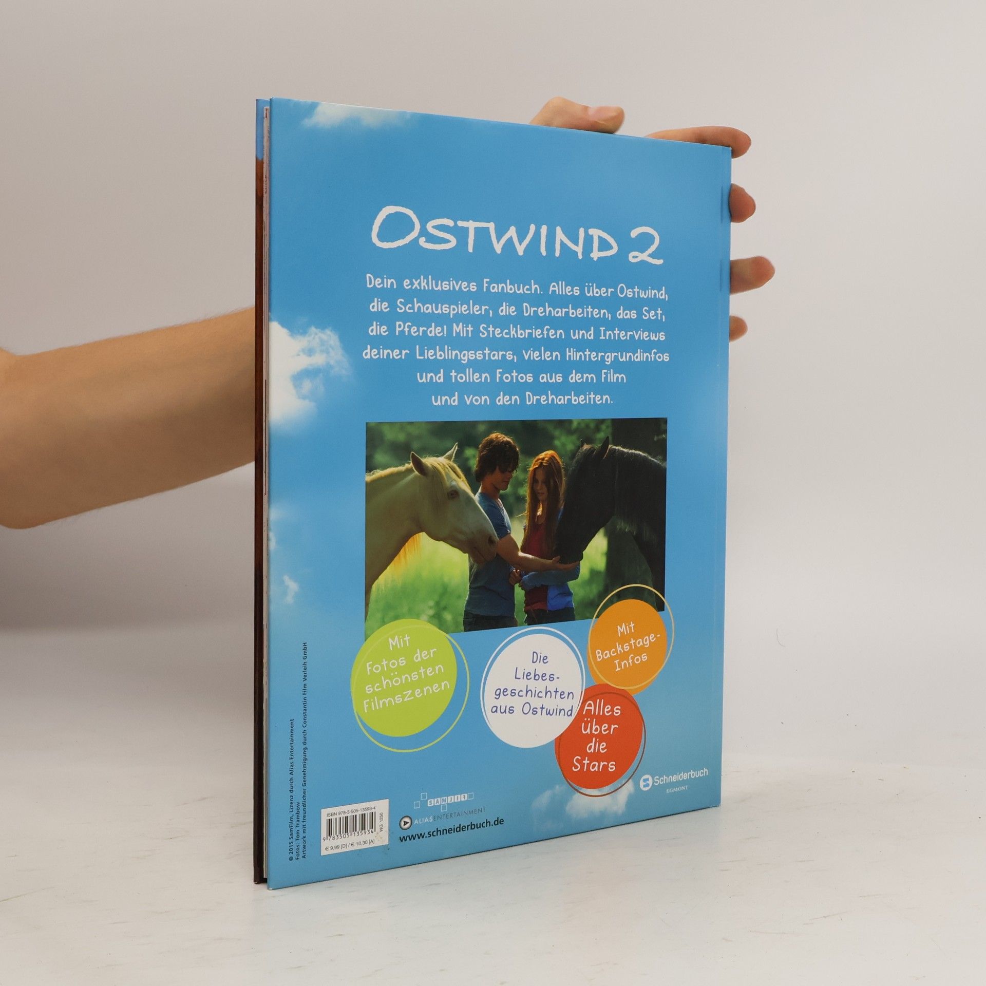 Autorenkollektiv Ostwind 2 : Das große Fanbuch