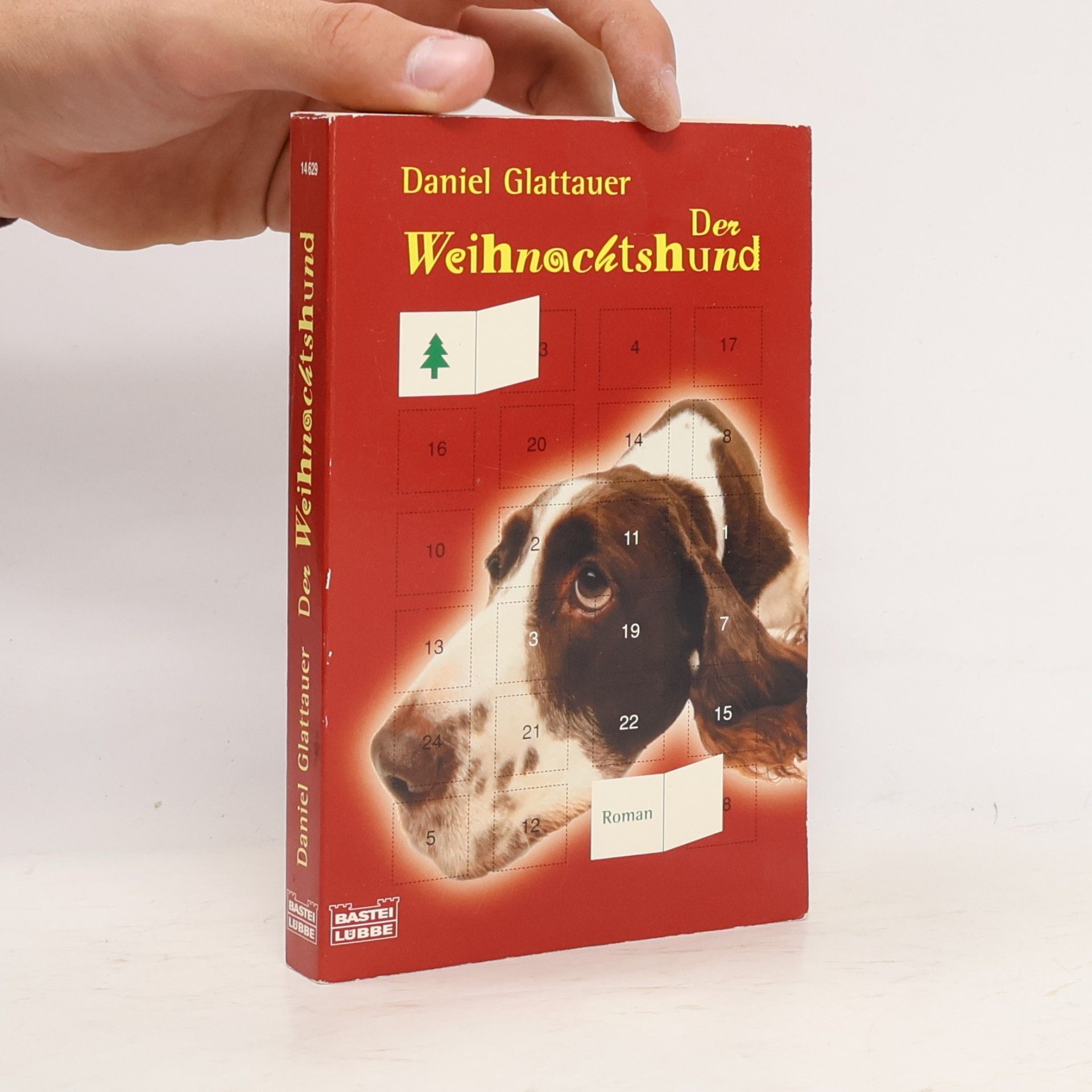 Daniel Glattauer Der Weihnachtshund
