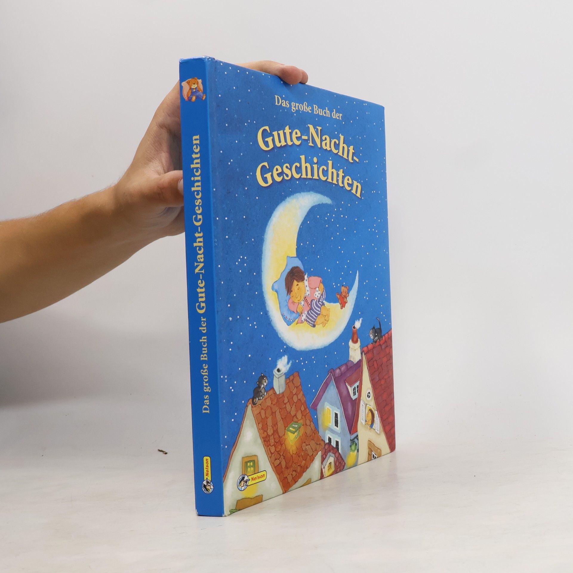 Unknown Author Das große Buch der Gute-Nacht-Geschichten
