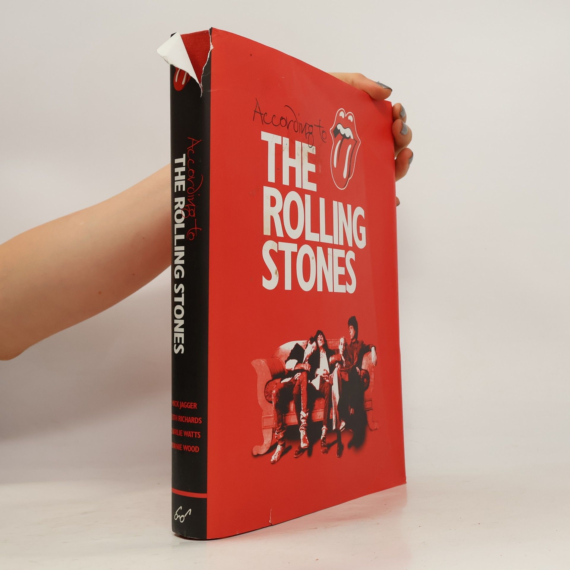 Mick Jagger According to The Rolling Stones