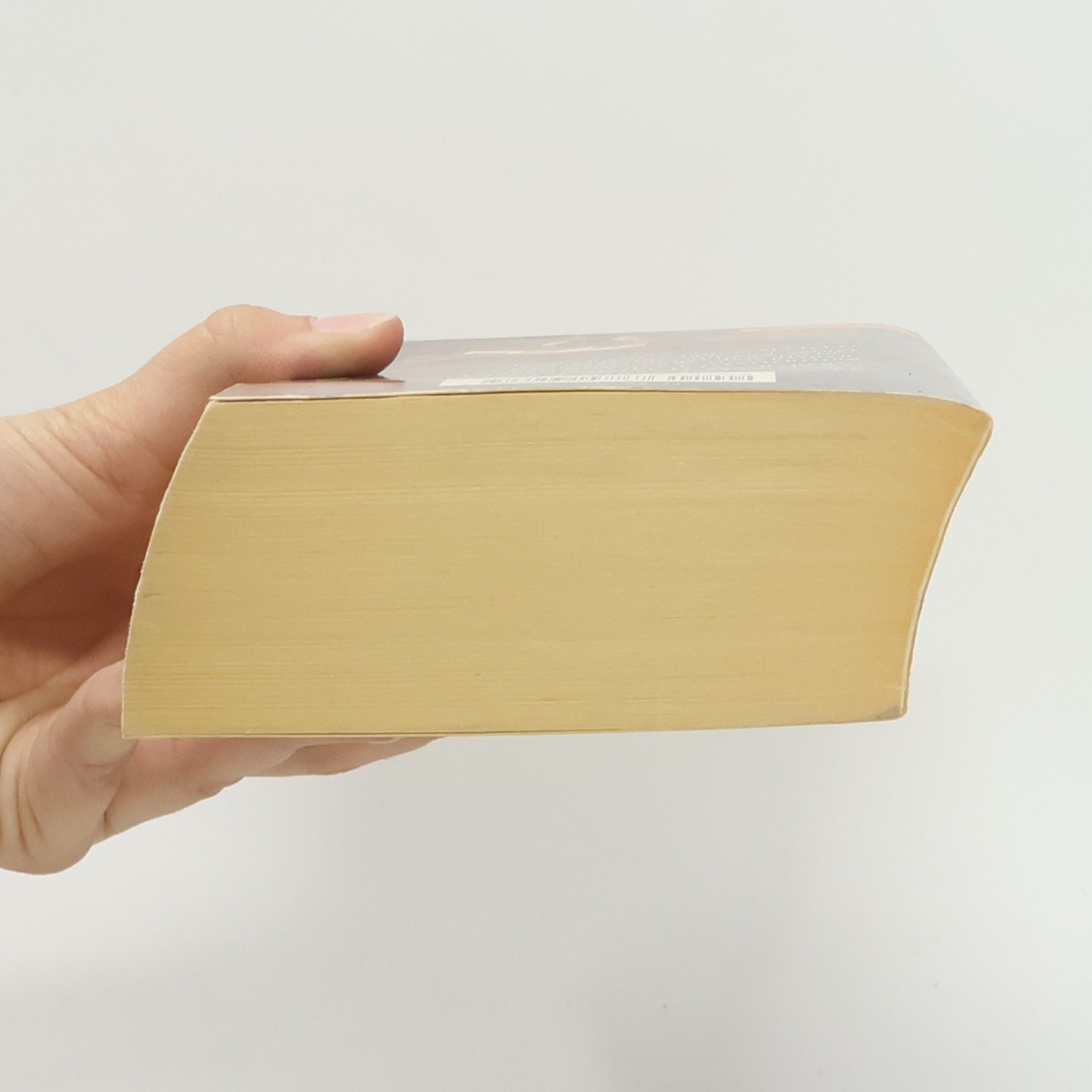 Edith Pargeter Bruder Cadfael und das fremde Mädchen. Bruder Cadfael und der Ketzerlehrling. Zwei mittelalterliche Kriminalromane. Aus d. Engl. v. Jürgen Langowski u. Christel Wiemken