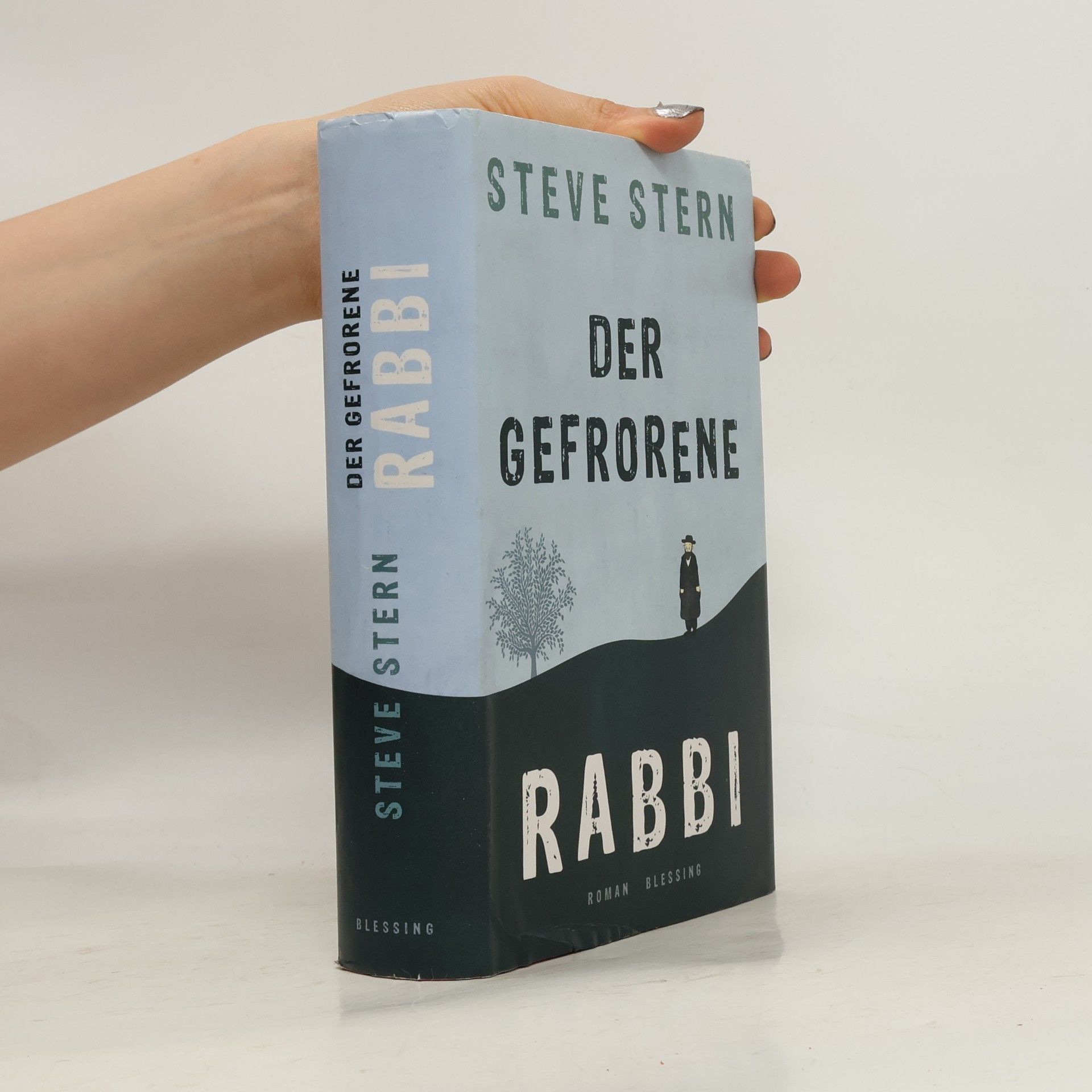 Steve Stern Der gefrorene Rabbi