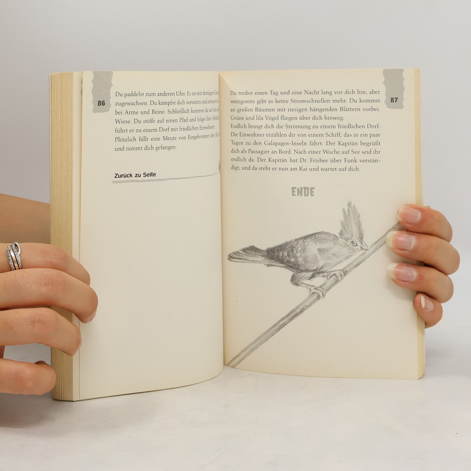 Edward Packard Die Insel der 1000 Gefahren
