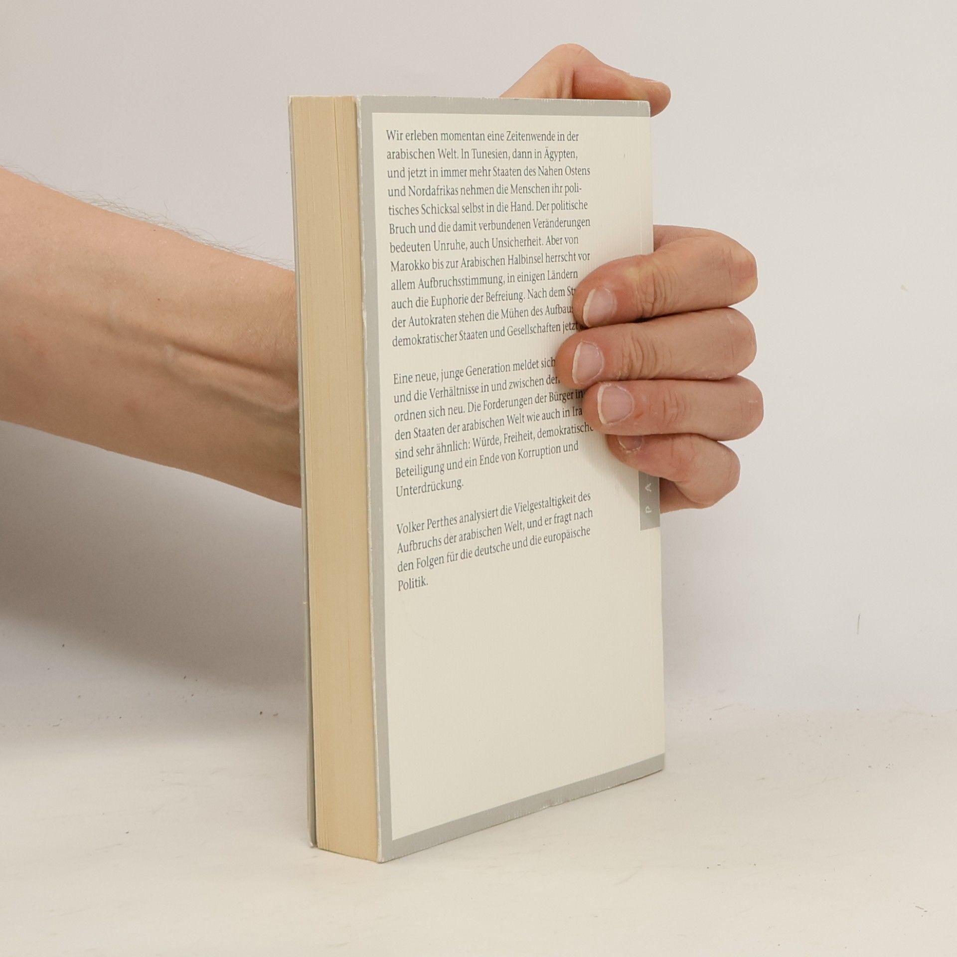 Volker Perthes Der Aufstand