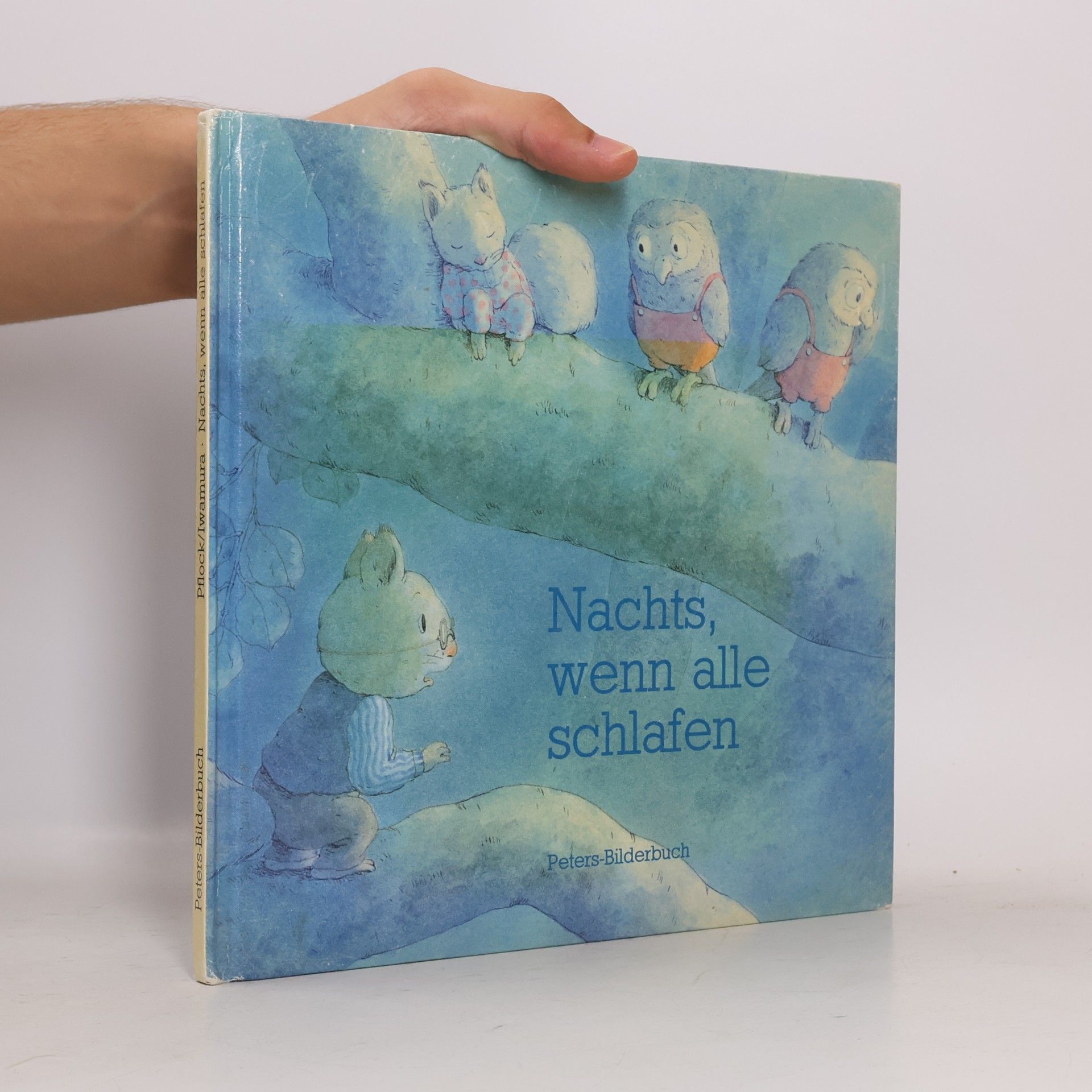 Iwamura Kazuo Nachts, wenn alle schlafen