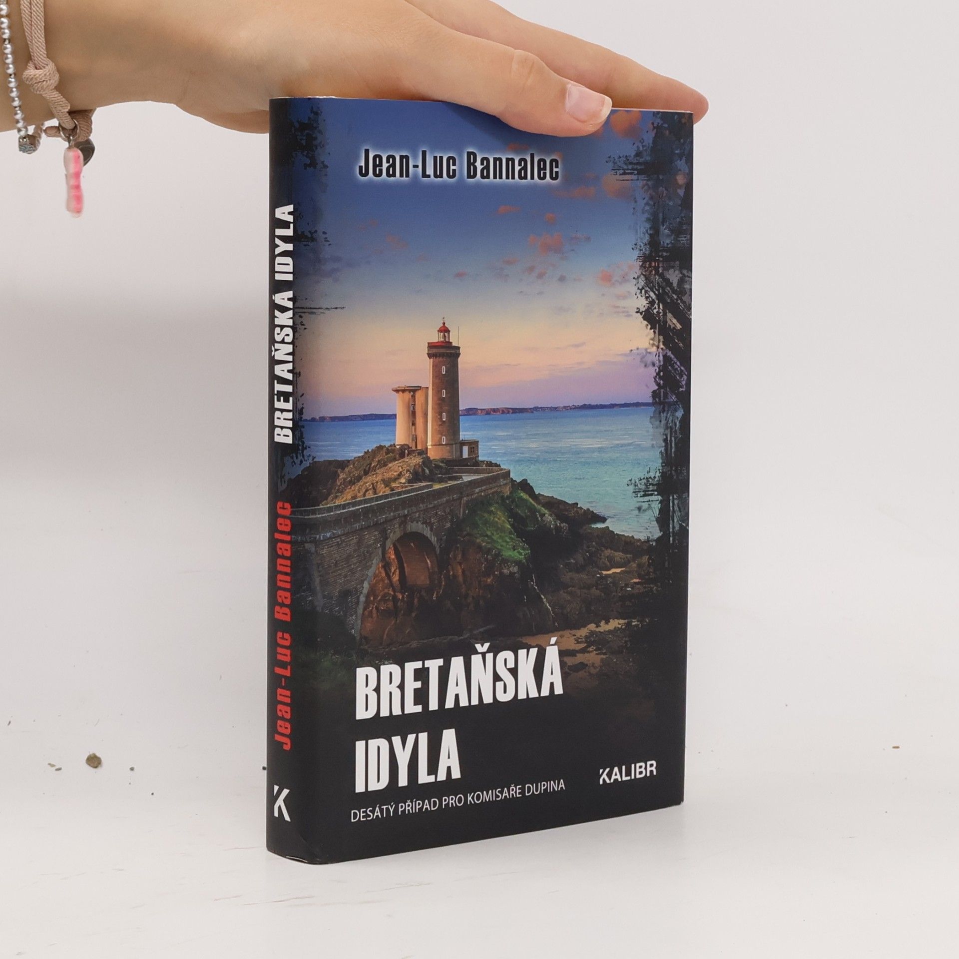 Jörg Bong Bretaňská idyla : desátý případ pro komisaře Dupina