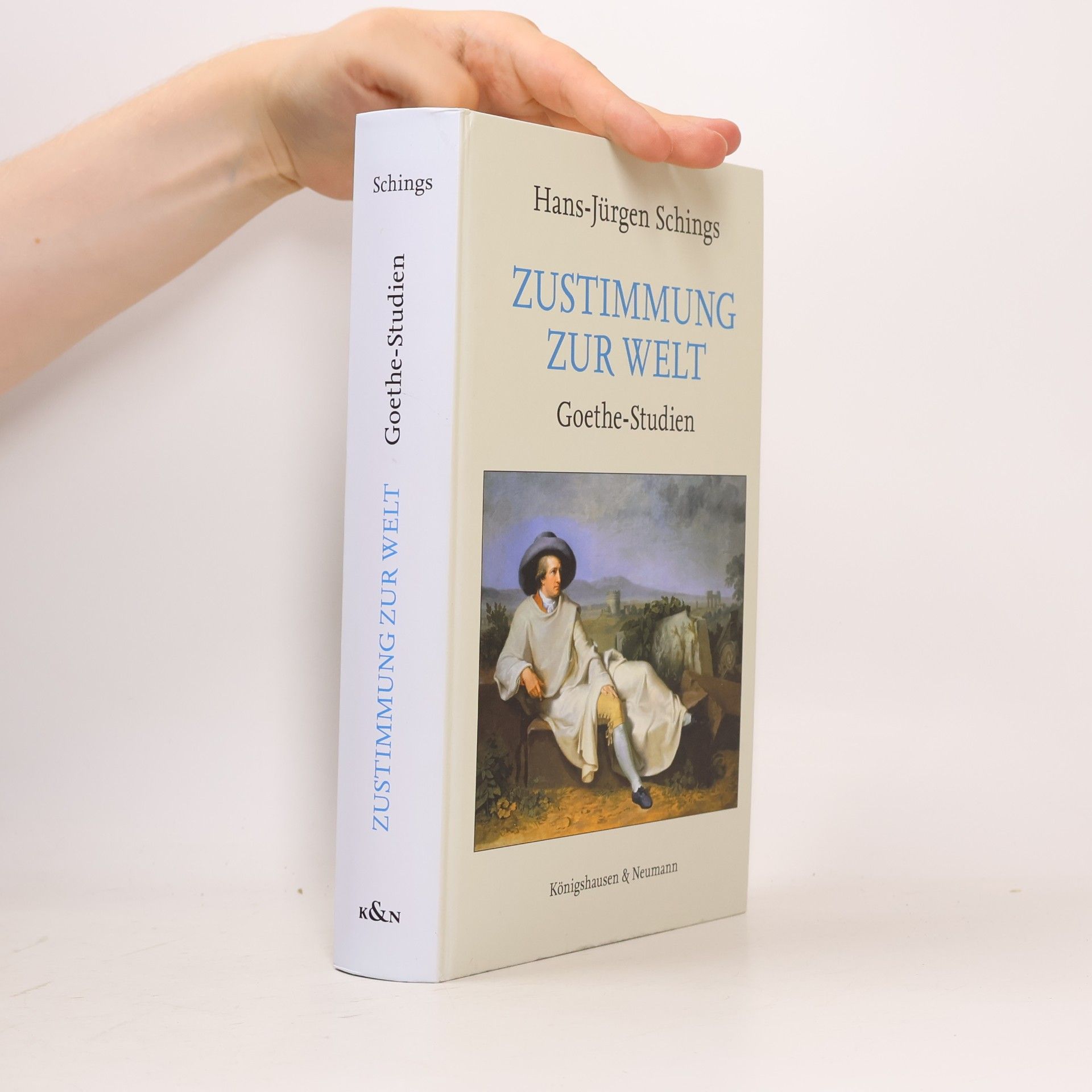Zustimmung zur Welt