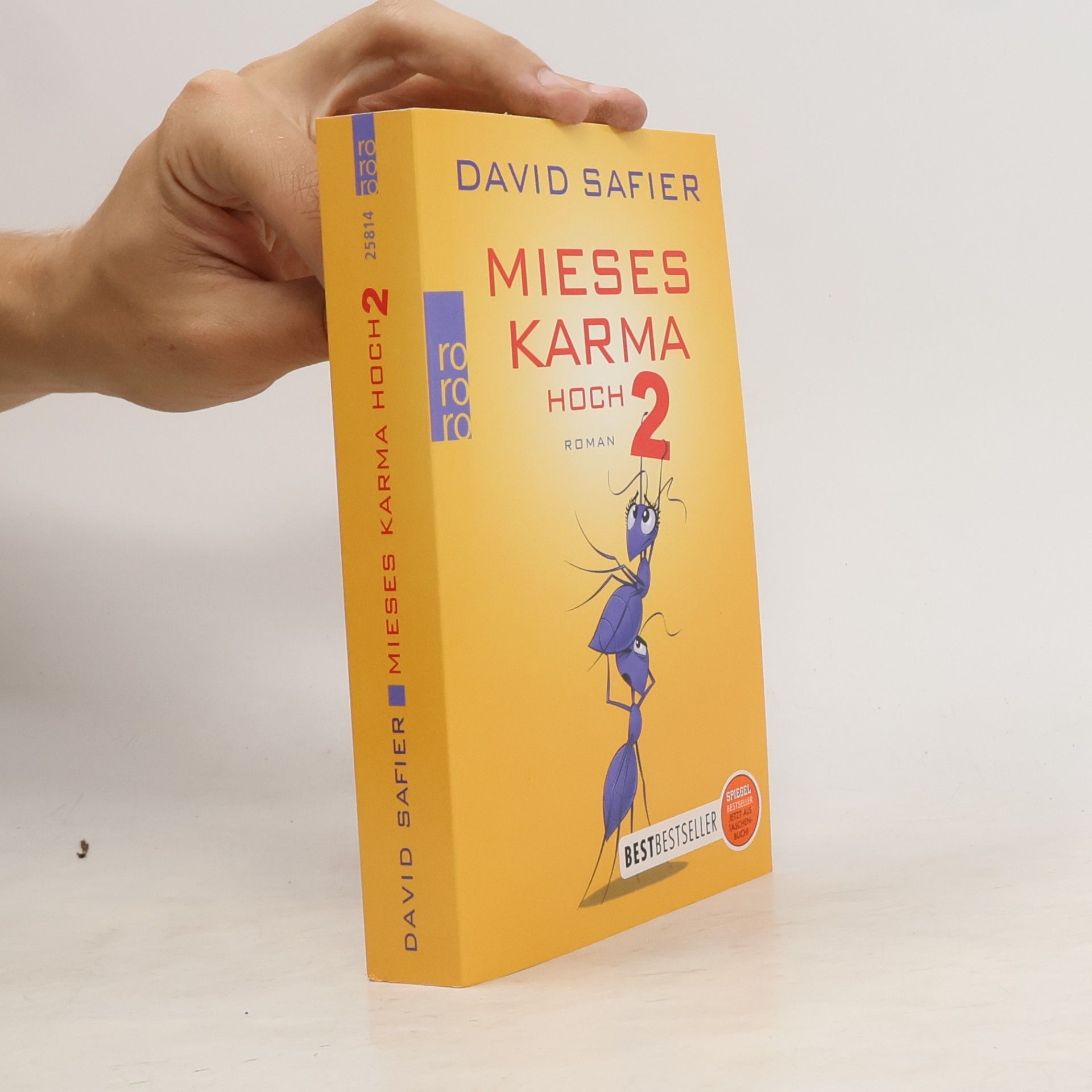 David Safier Mieses Karma hoch 2