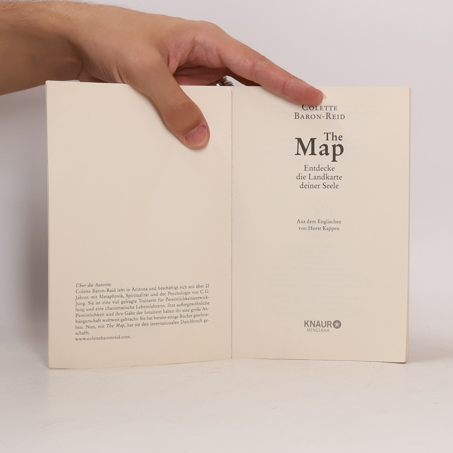 Colette Baron Reid The Map