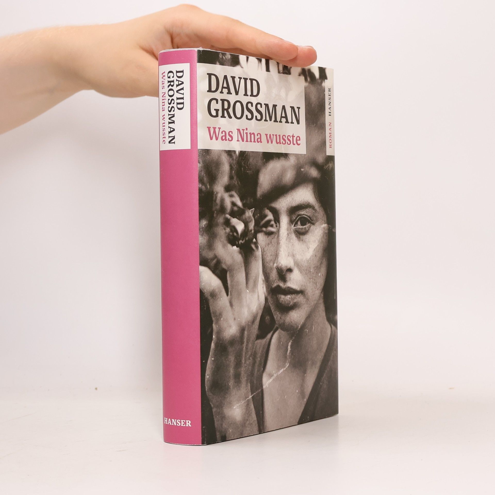 David Grossman Was Nina wusste