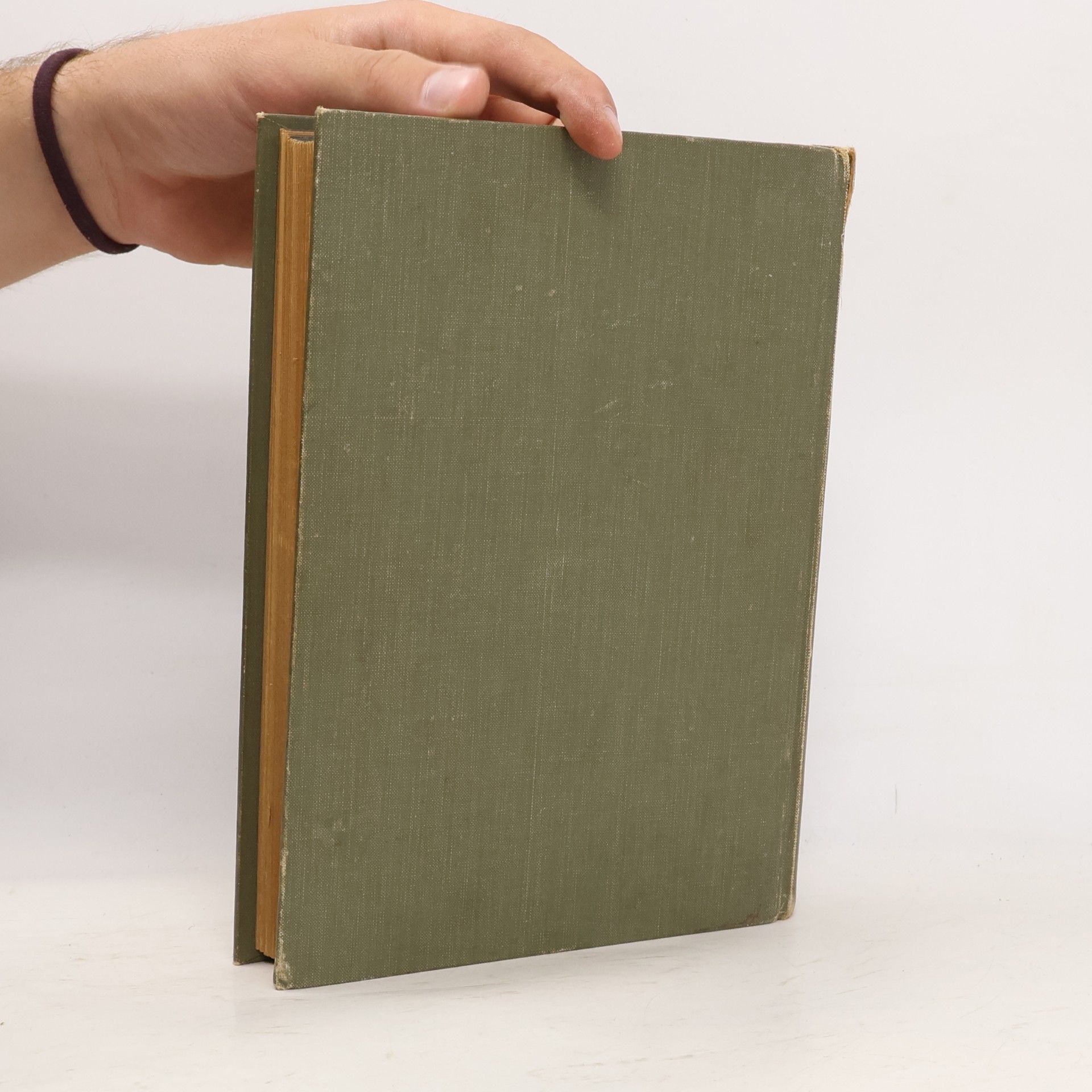 Gustav Schalk Meisterbuch deutscher Götter und Heldensagen