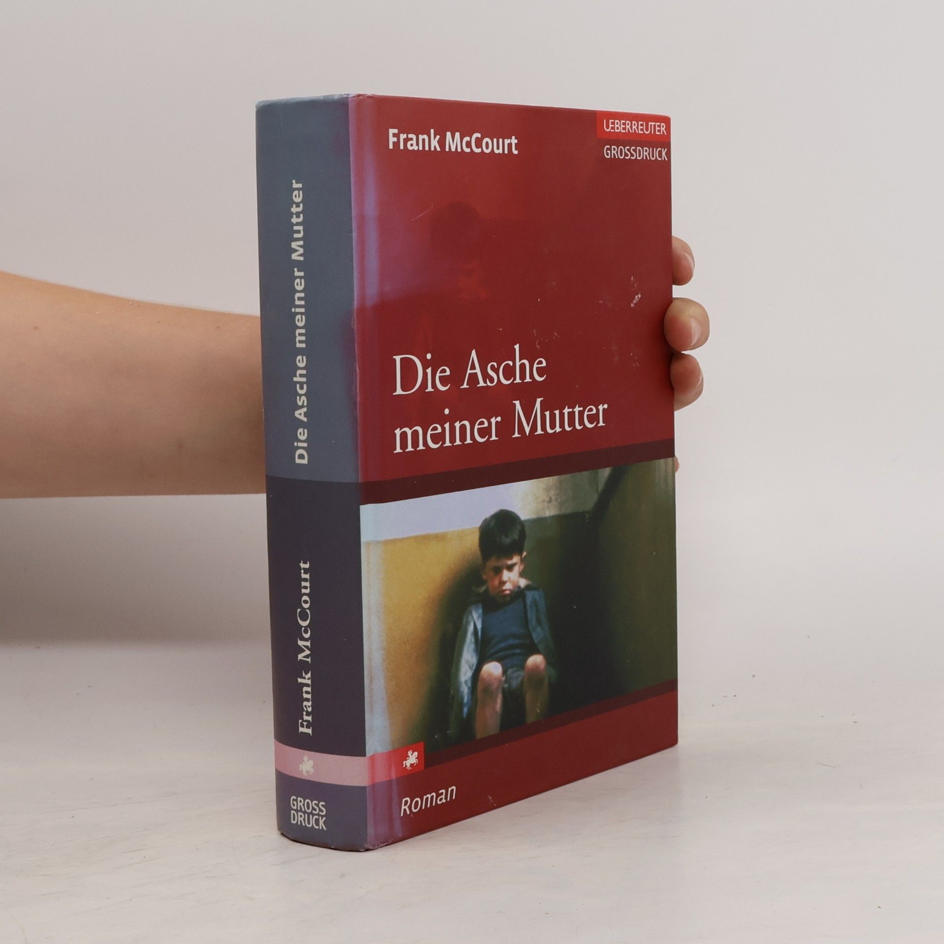 Frank McCourt Die Asche meiner Mutter