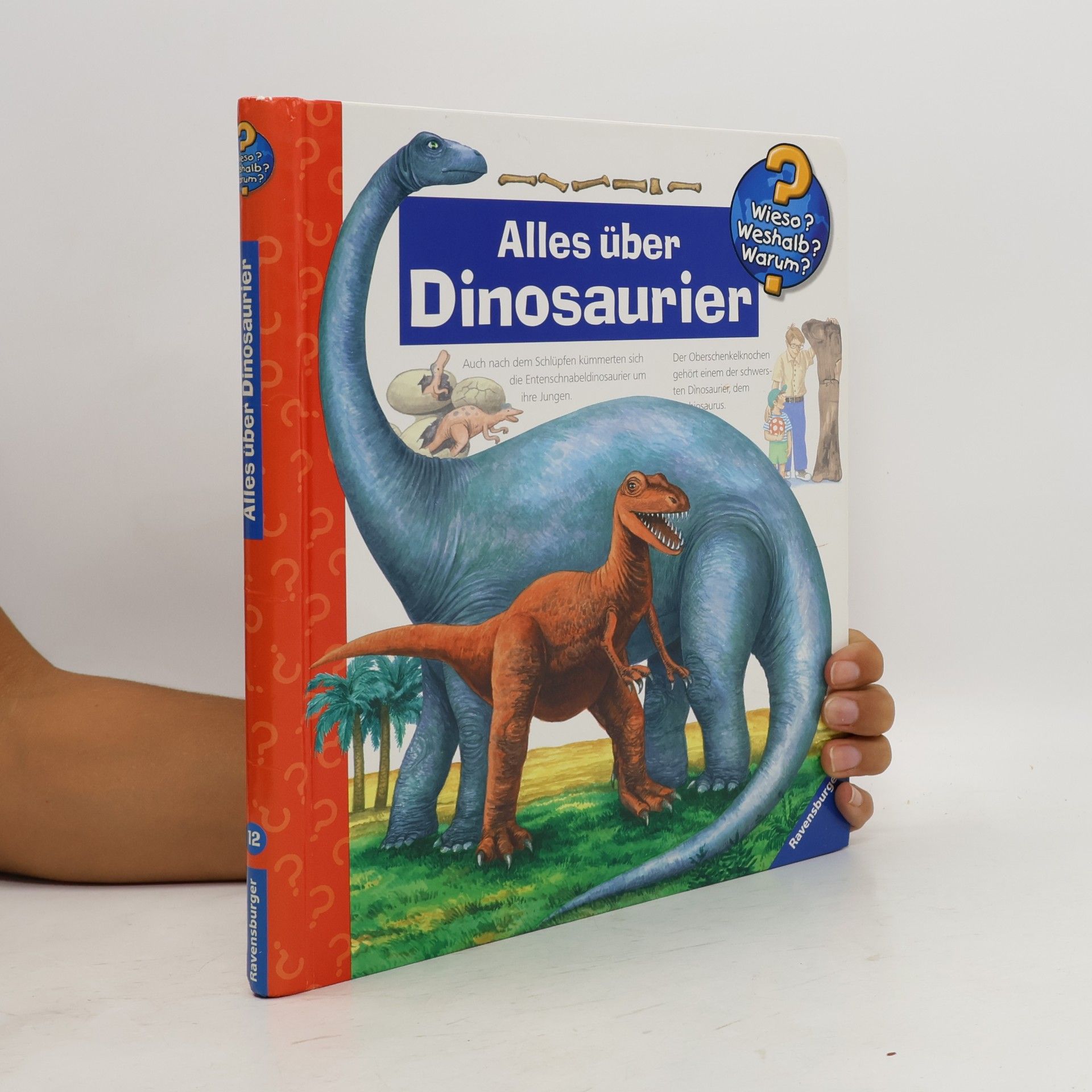 Patricia Mennen Alles über Dinosaurier