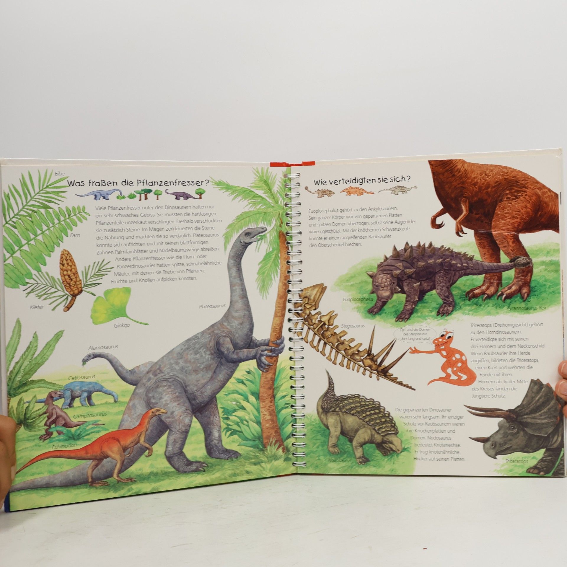 Patricia Mennen Alles über Dinosaurier