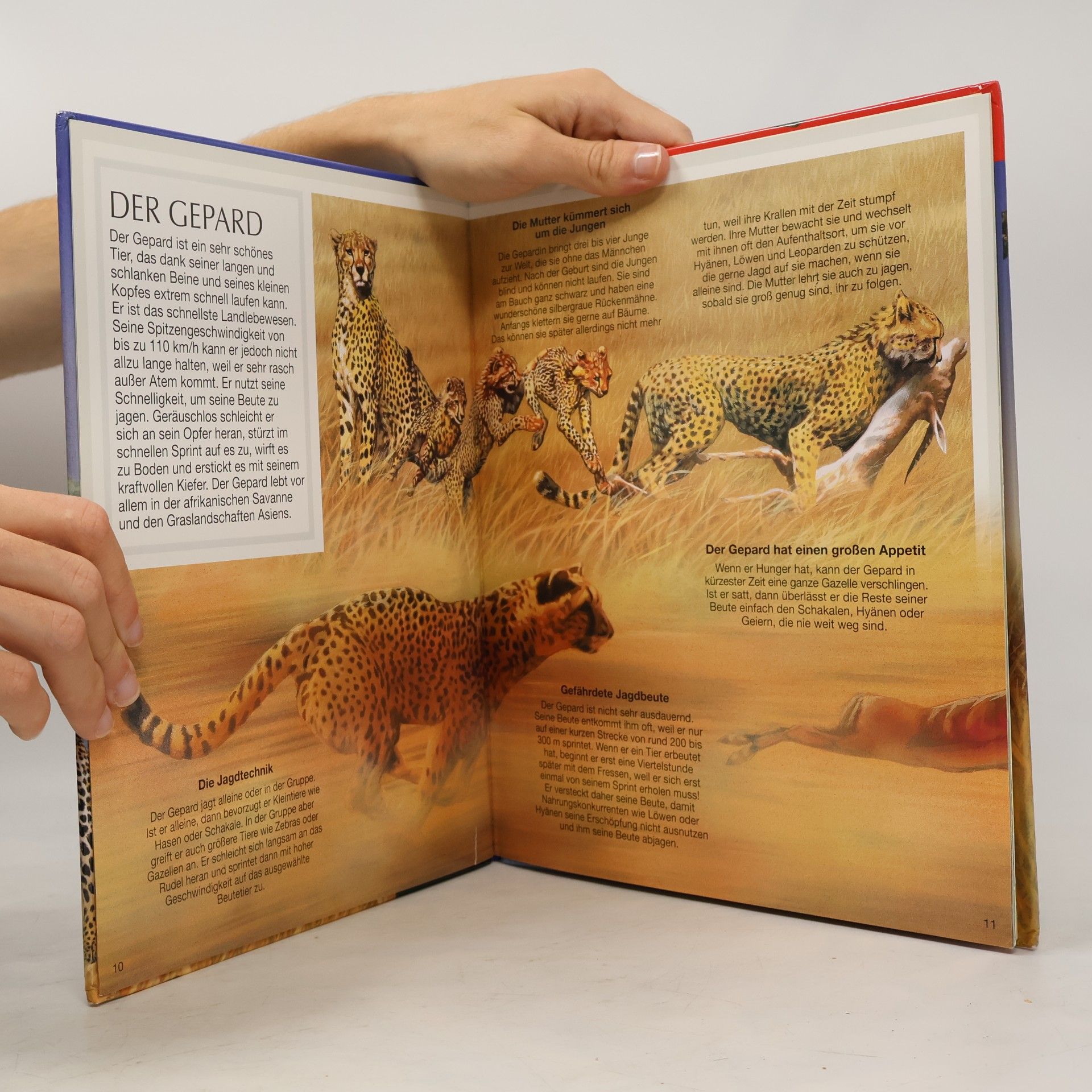 Various authors Bunte Wissenswelt für Kinder: Raubtiere