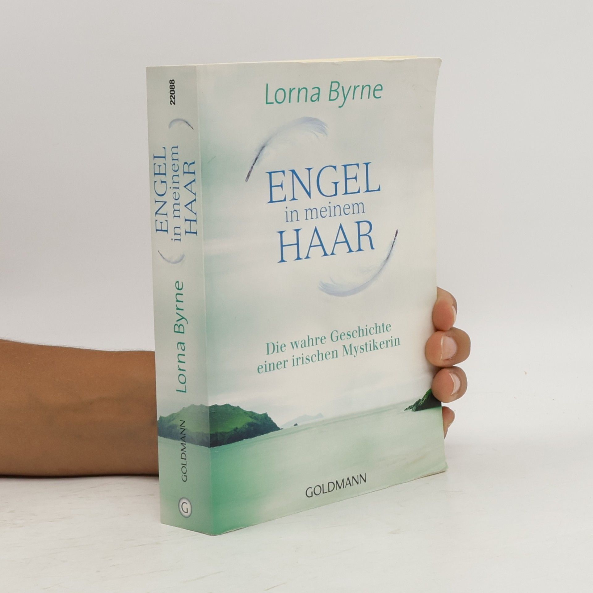 Lorna Byrne Engel in meinem Haar