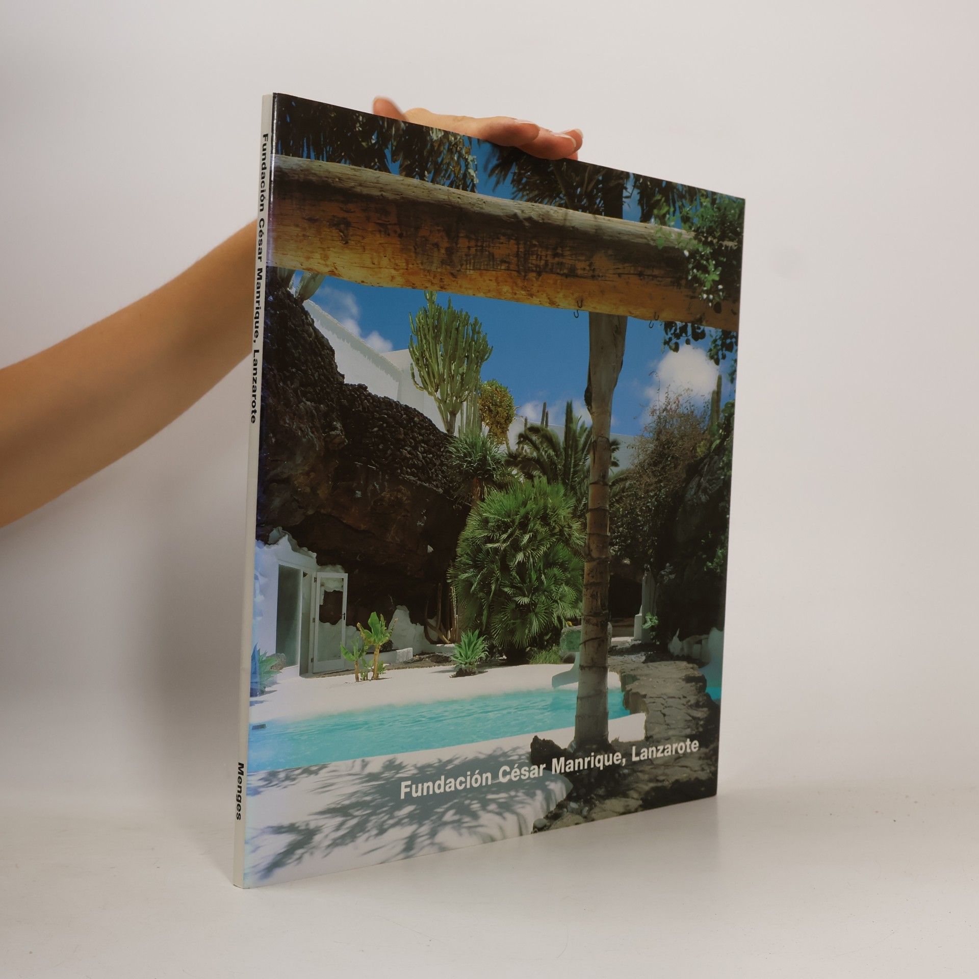 Simón Marchán Fiz Fundación César Manrique, Lanzarote