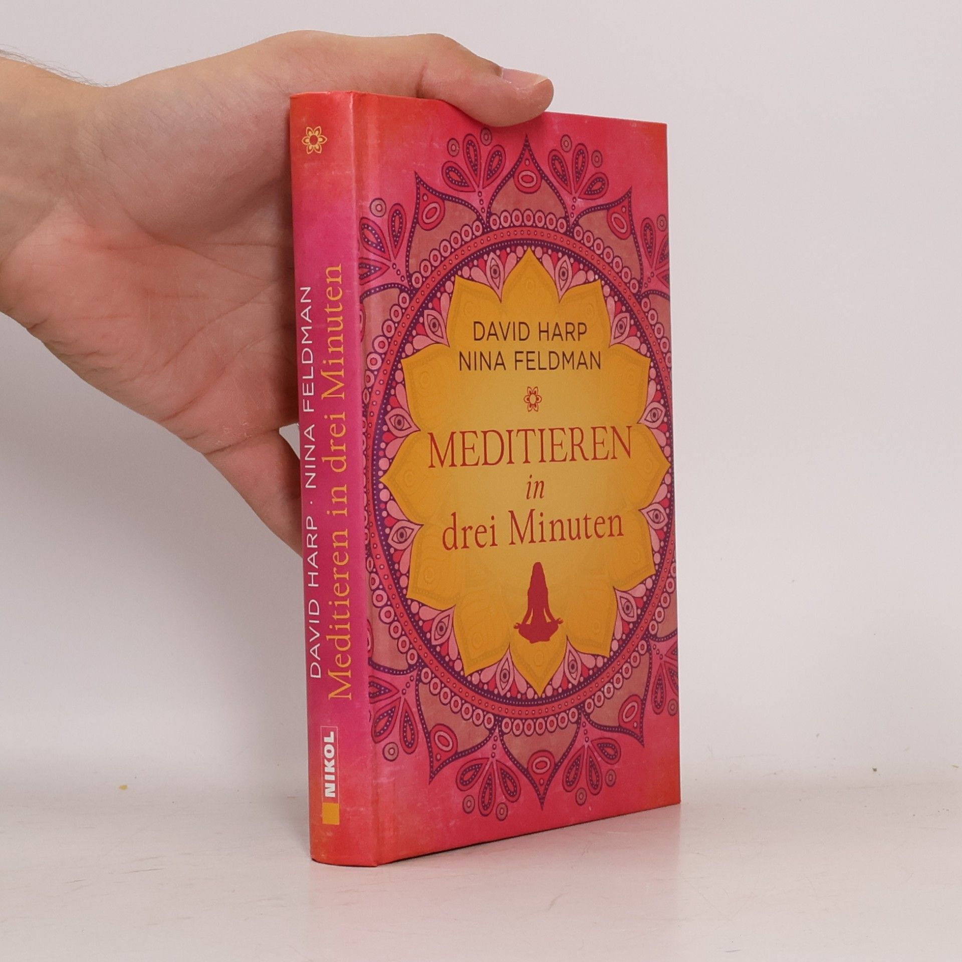 David Harp Meditieren in drei Minuten