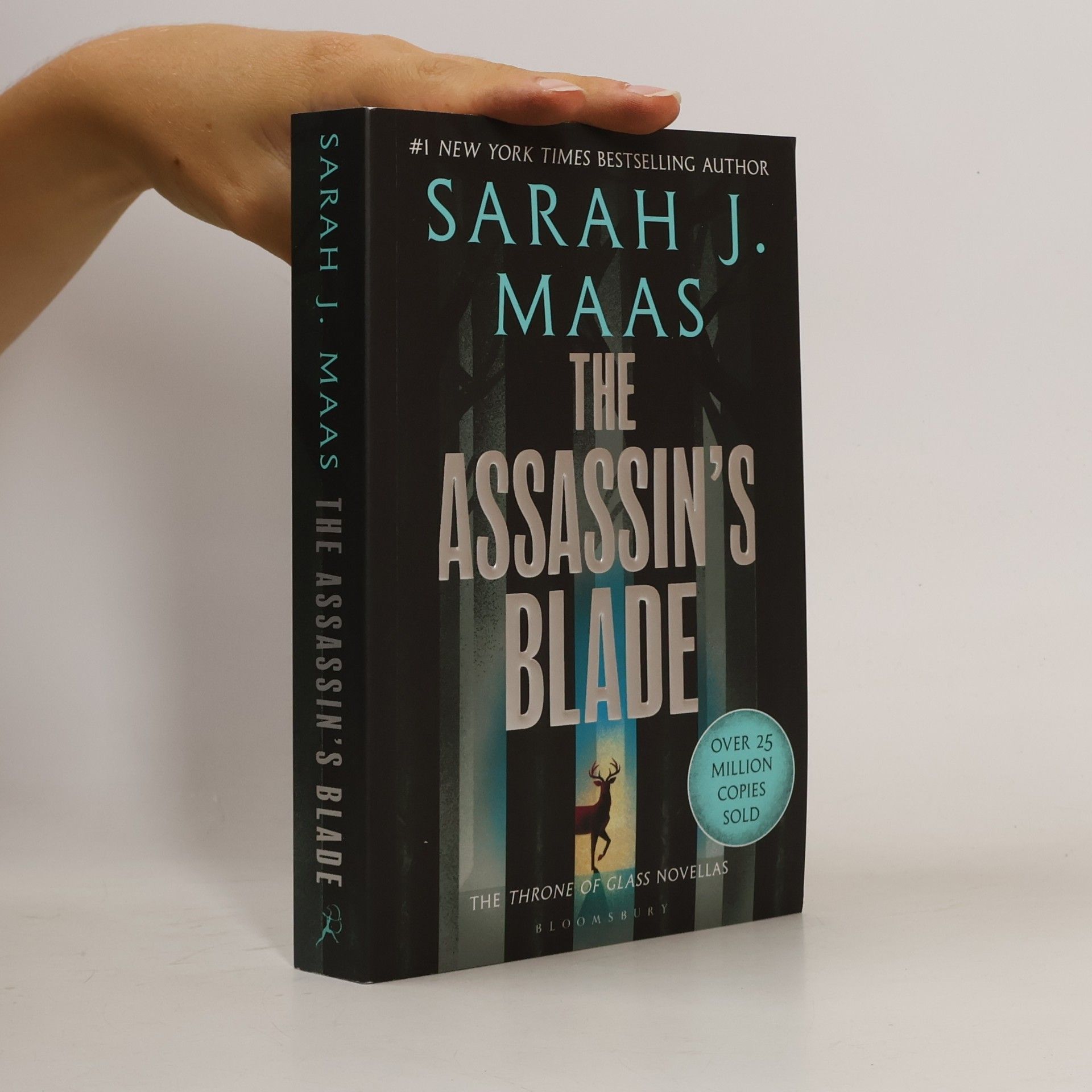 The Assassin's Blade