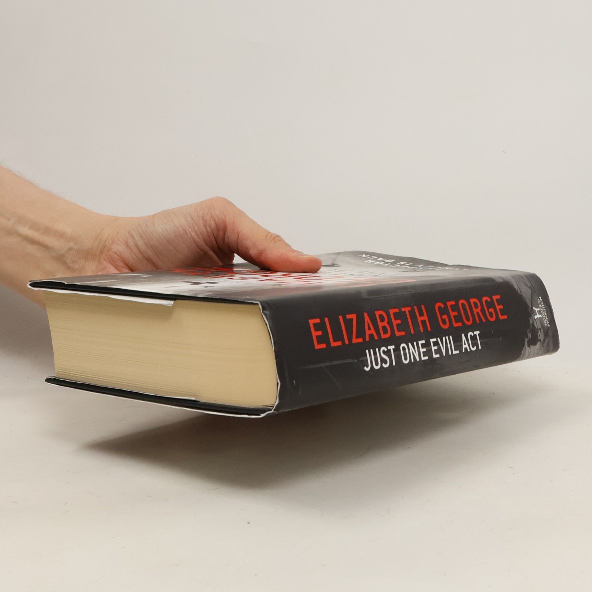 Elizabeth George Just One Evil Act