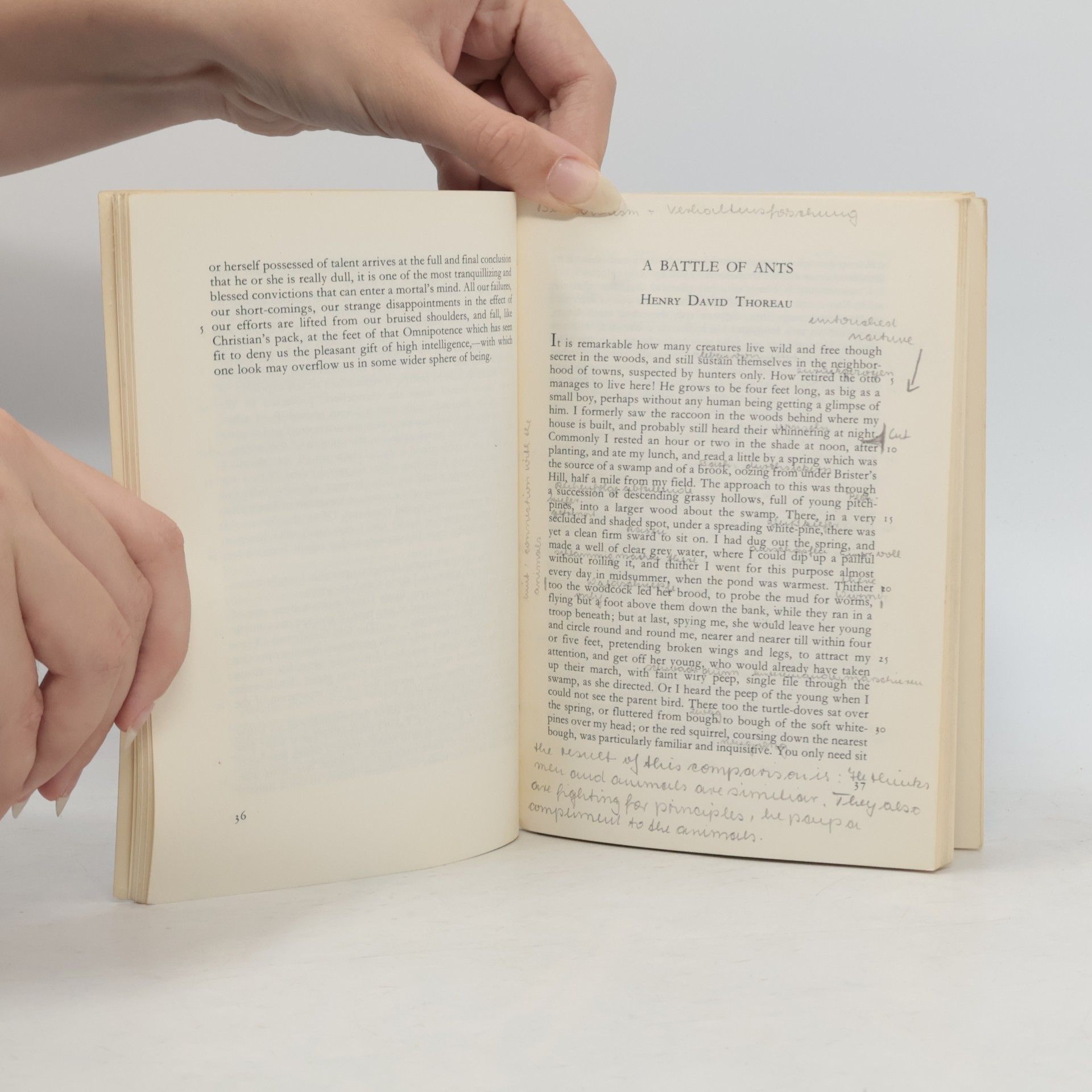 Johannes Schütze Twelve American Essays