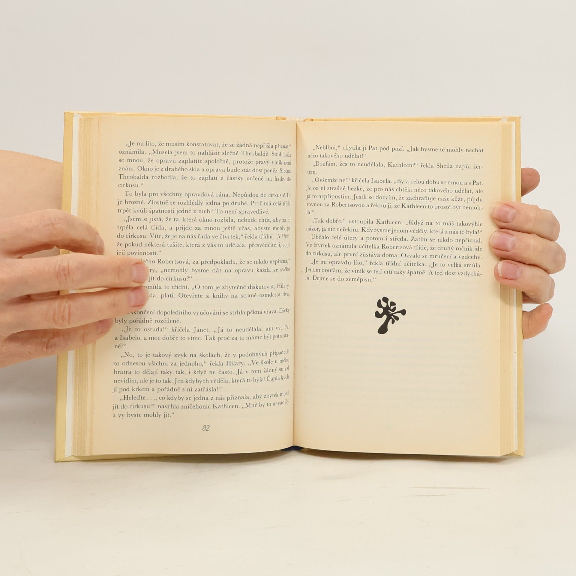 Enid Blyton Podařená dvojčata